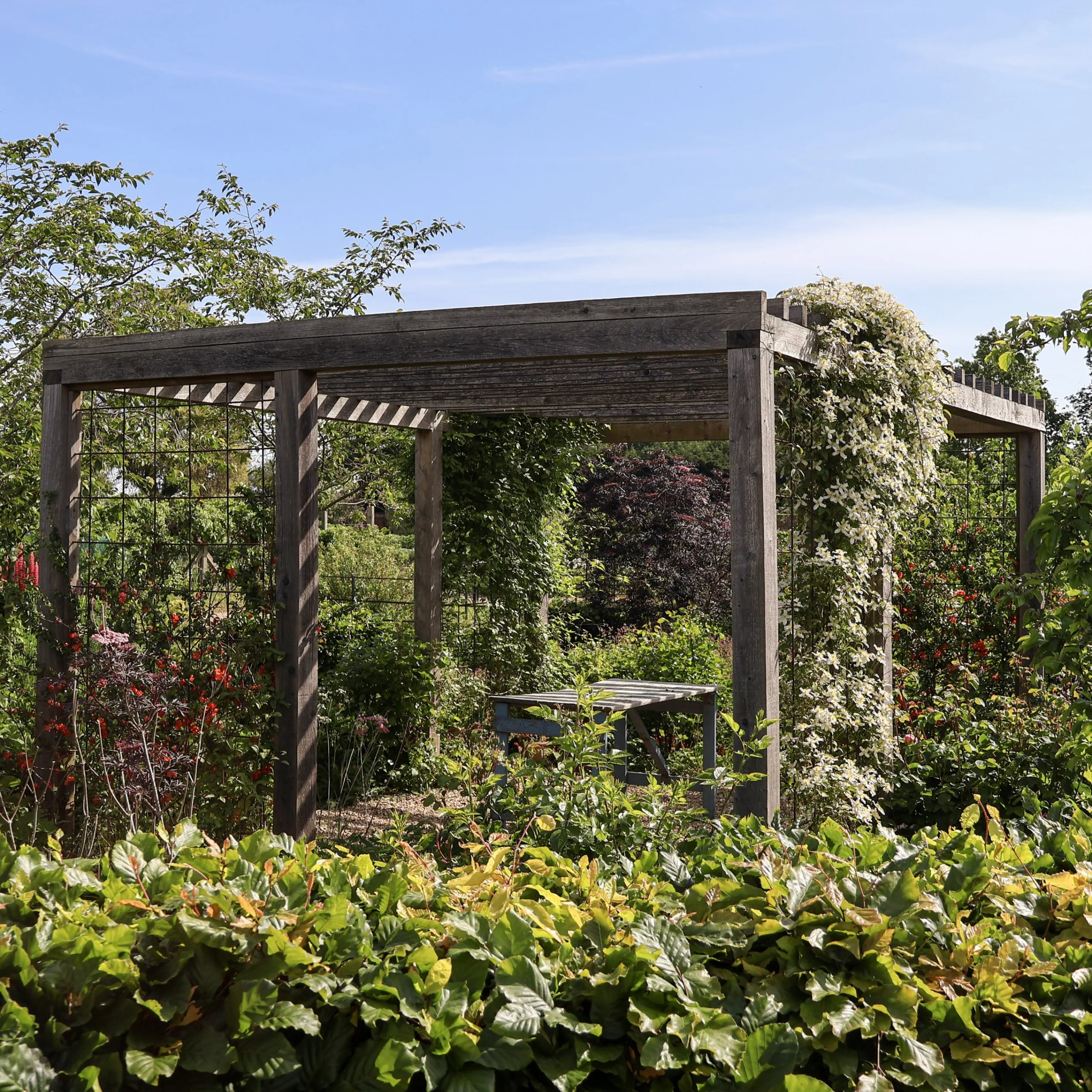 flower cutting garden catkin flowers