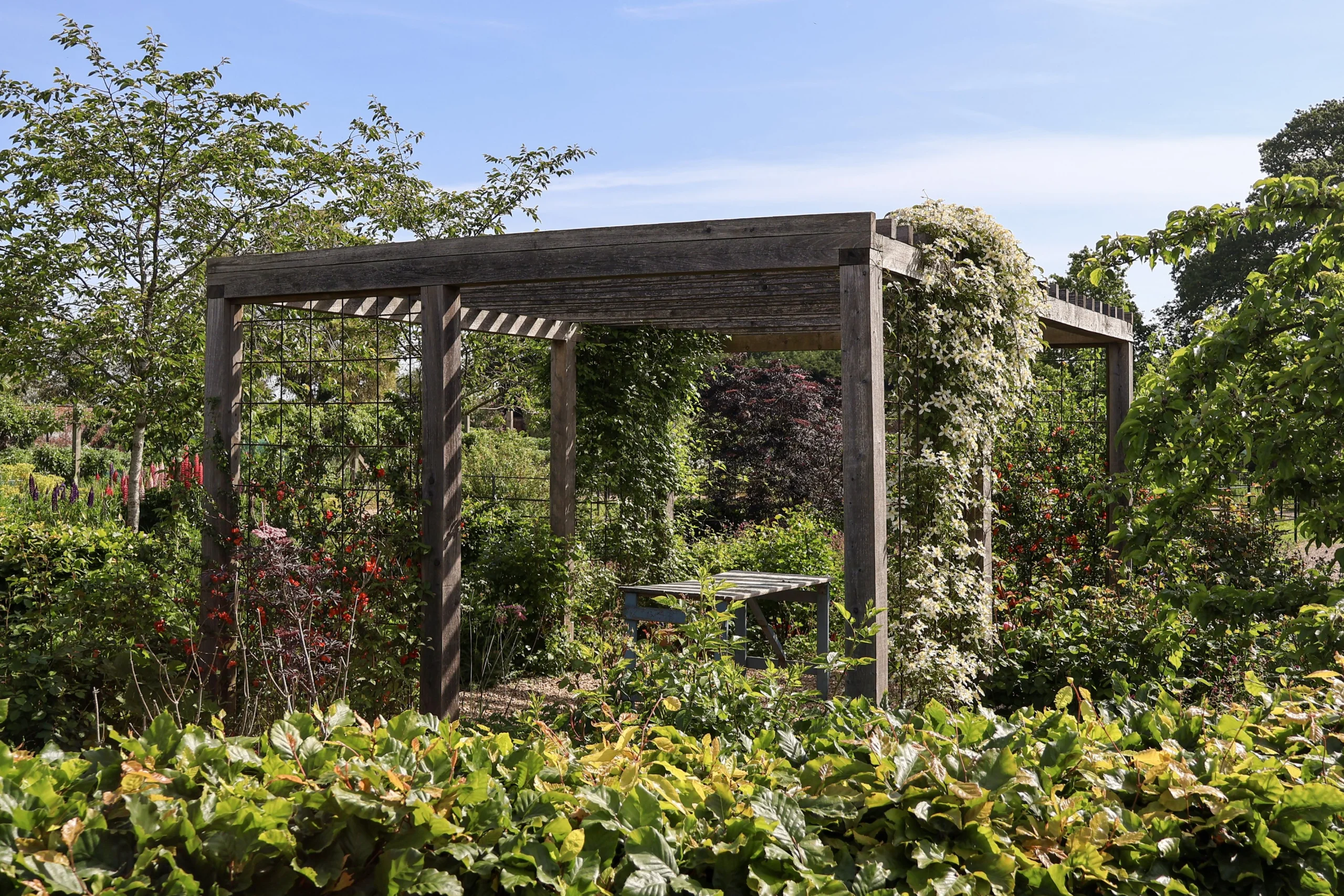flower cutting garden catkin flowers