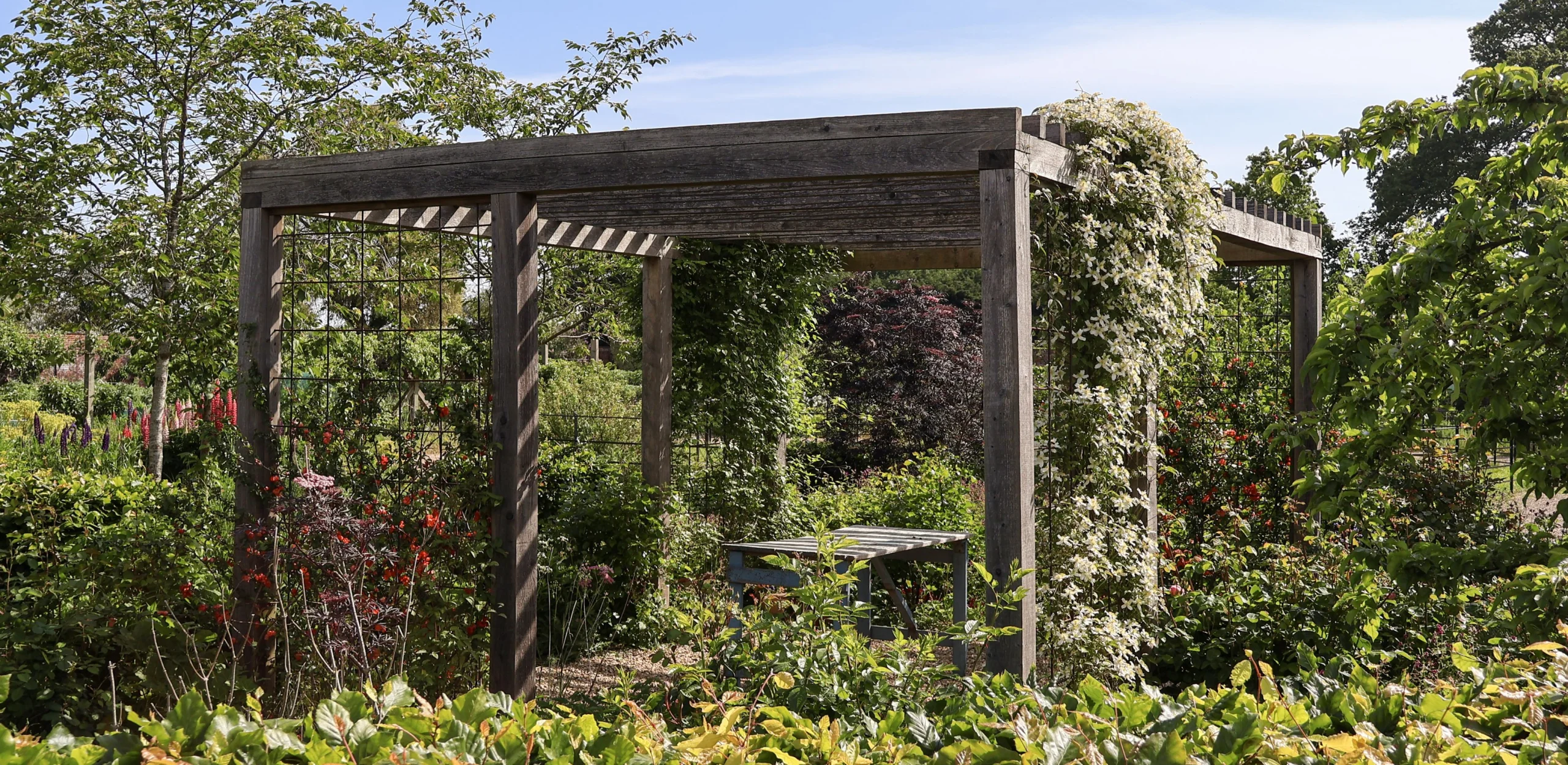 flower cutting garden catkin flowers