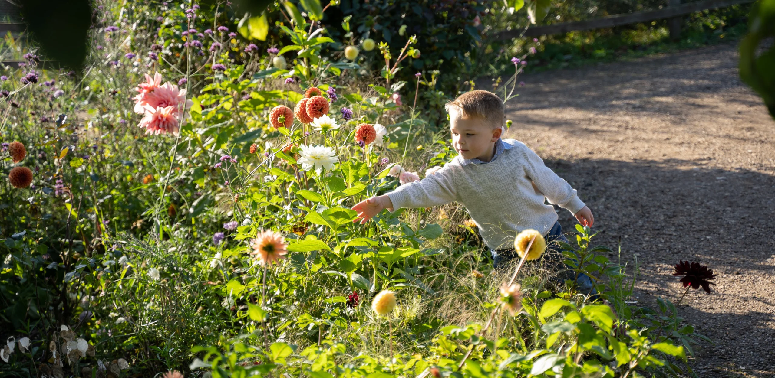 a child touching flowers in the ground of doddington hall estate