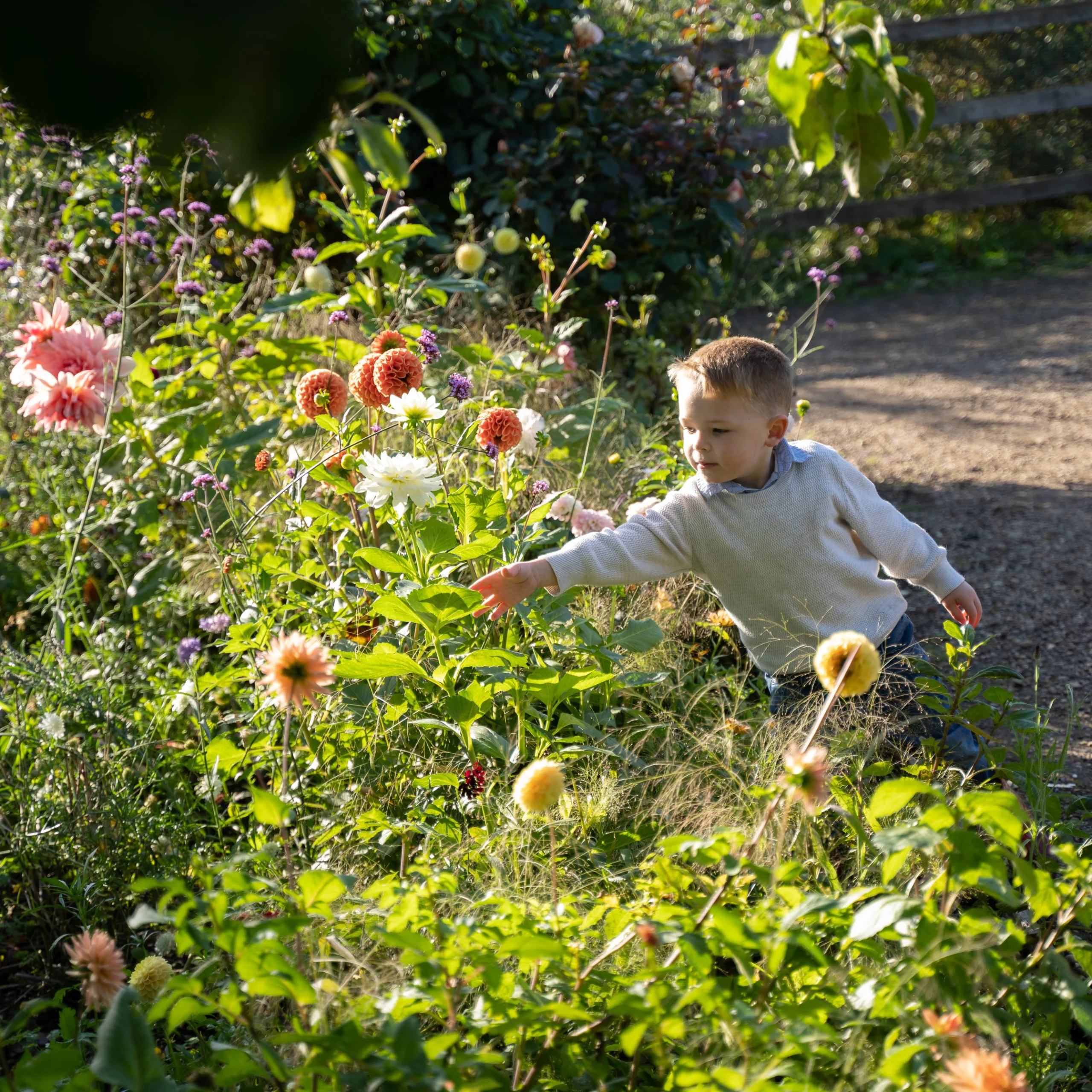 a child touching flowers in the ground of doddington hall estate