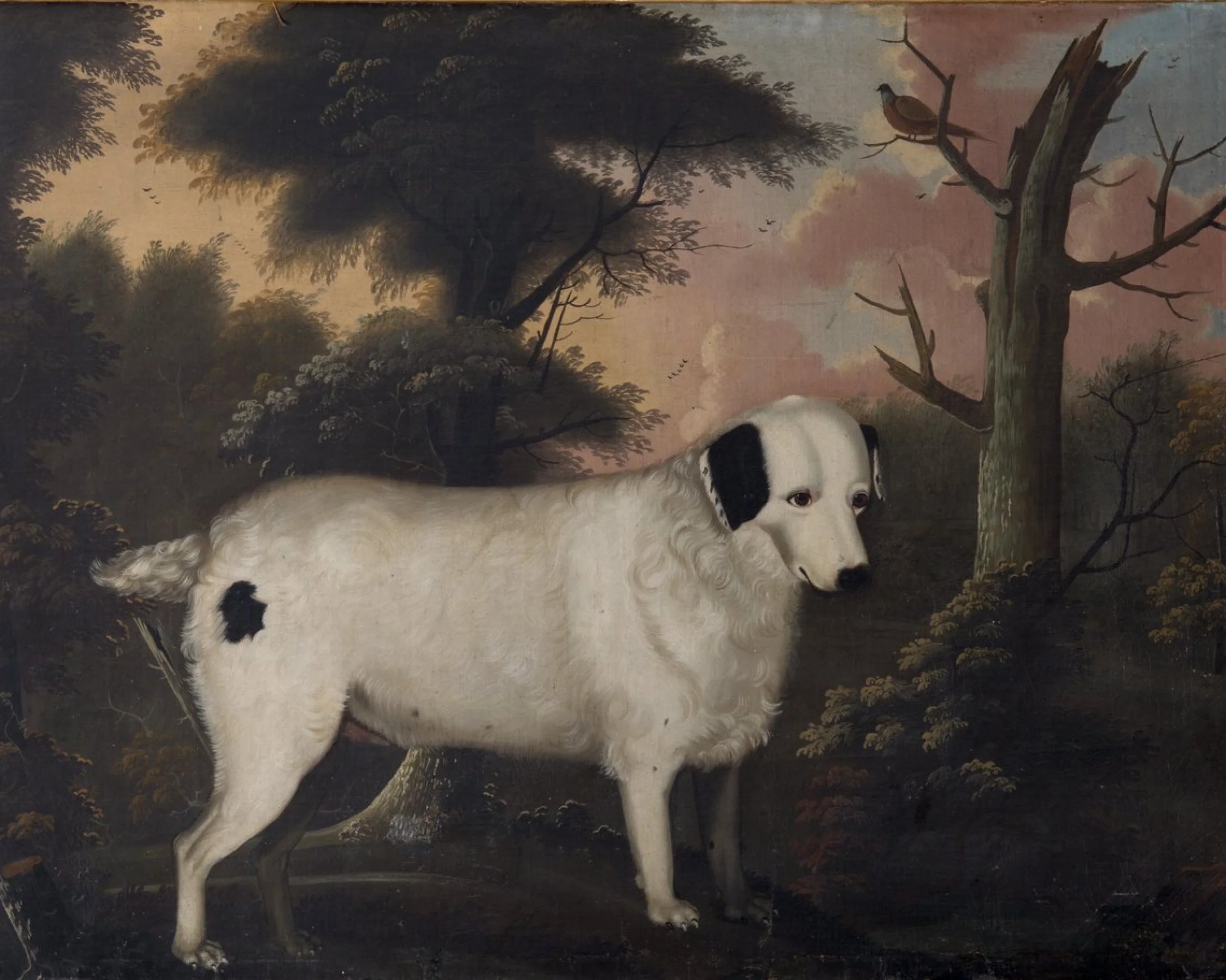 a painting of a white and black dog part of doddington art collection