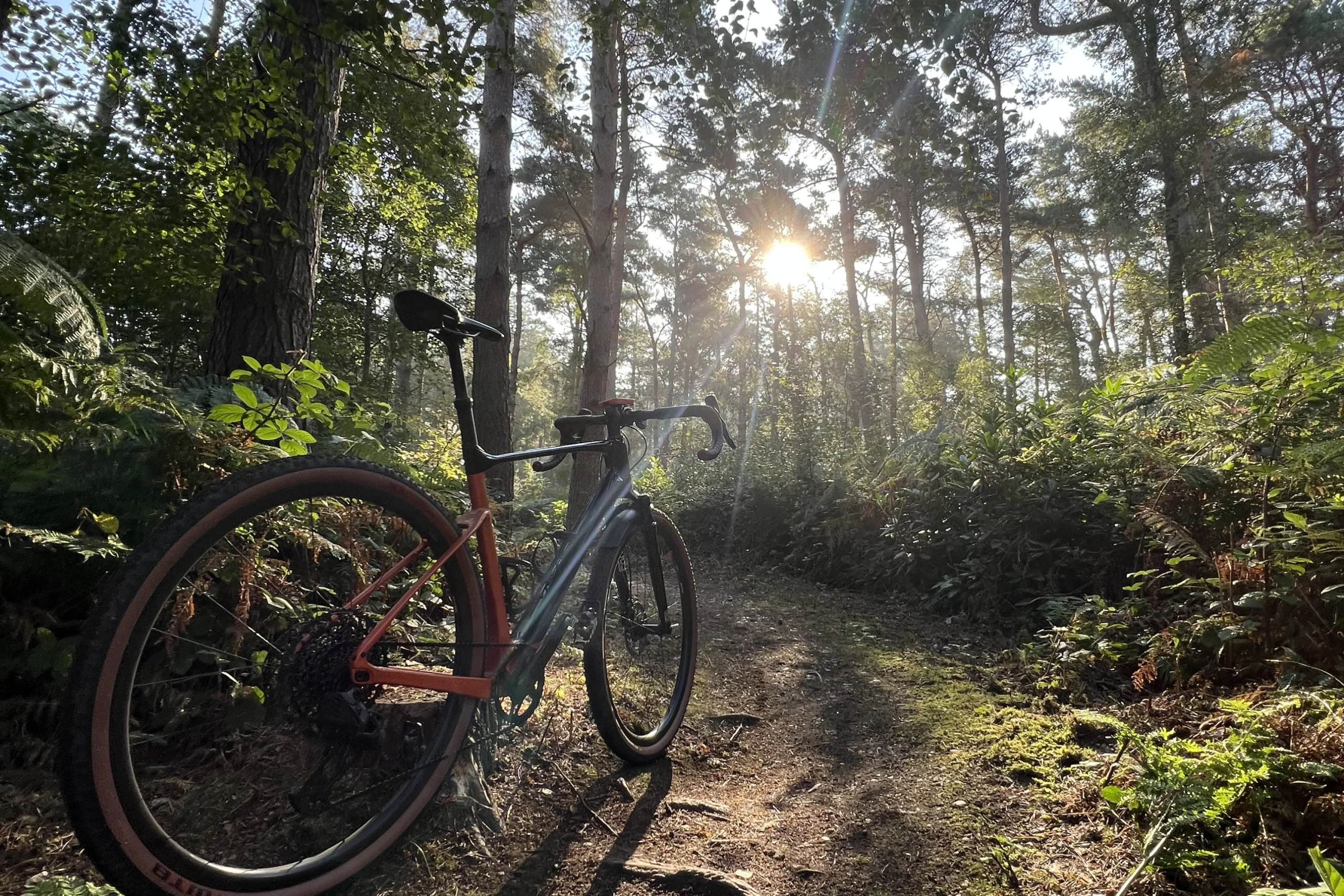 a bike on a bike trail at doddington hall
