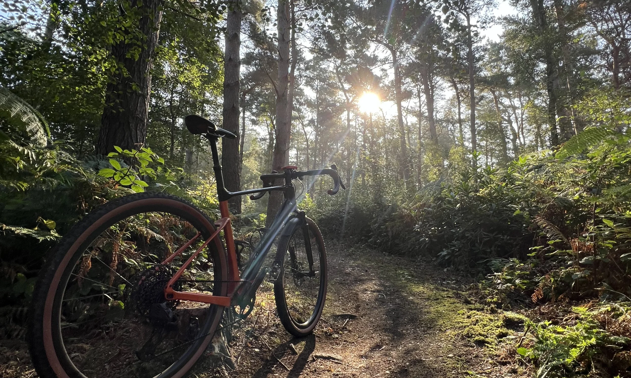 a bike on a bike trail at doddington hall