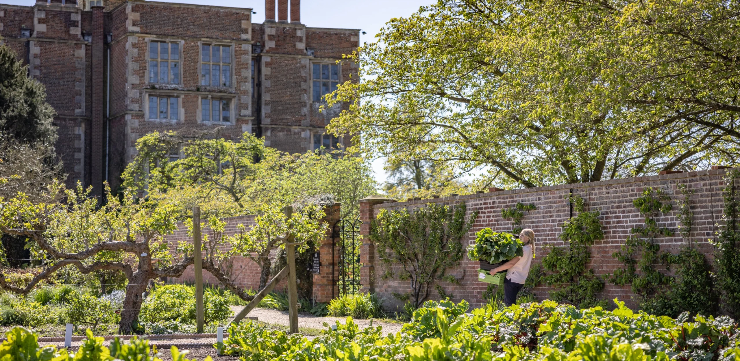view of the kitchen garden at doddington hall with the elizabethan hall in the background