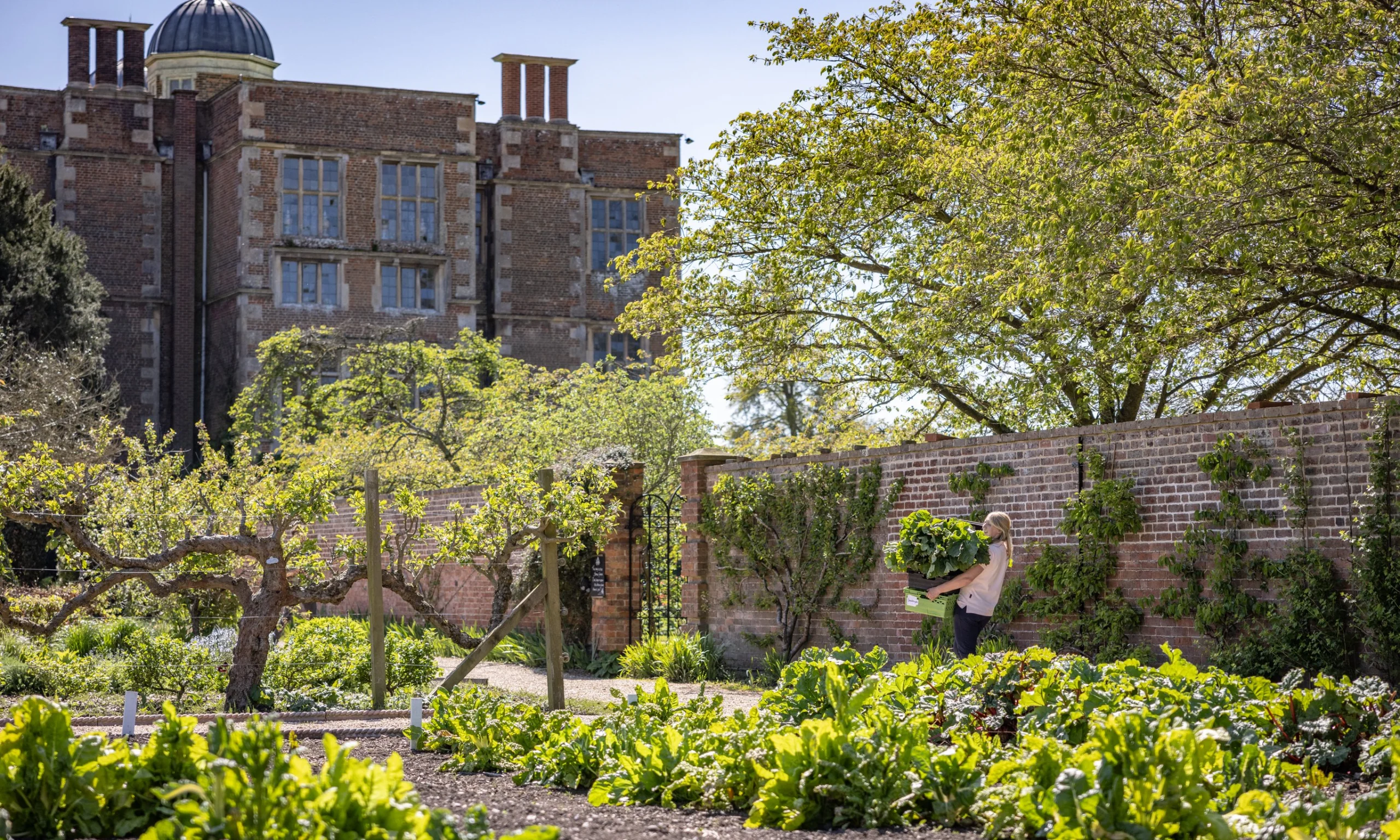 view of the kitchen garden at doddington hall with the elizabethan hall in the background