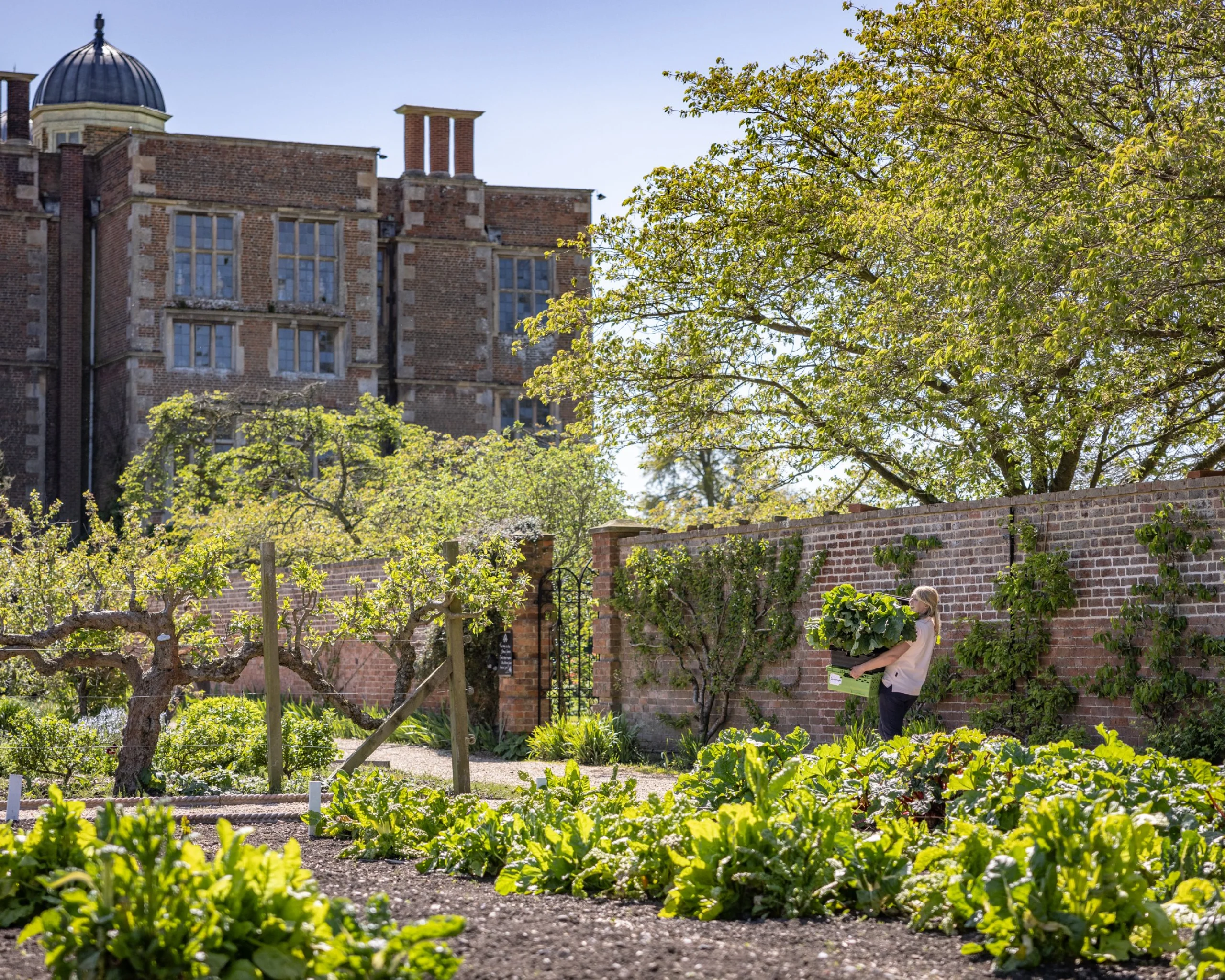 view of the kitchen garden at doddington hall with the elizabethan hall in the background