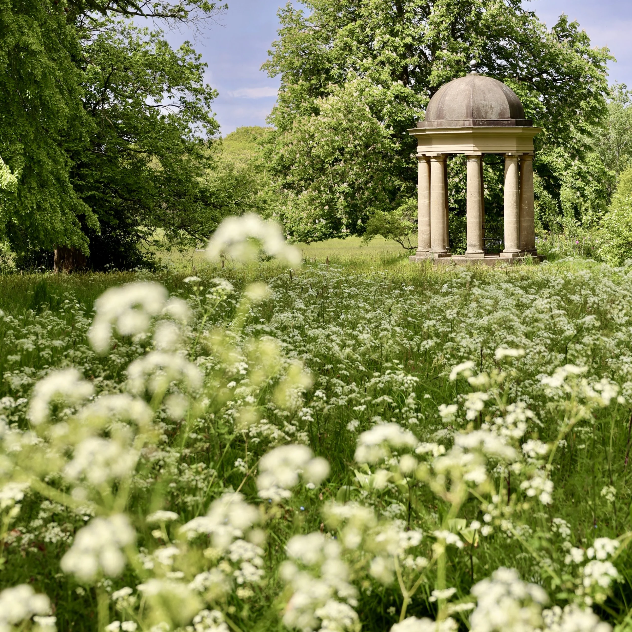 cow parsley in the foreground of the garden at doddington hall