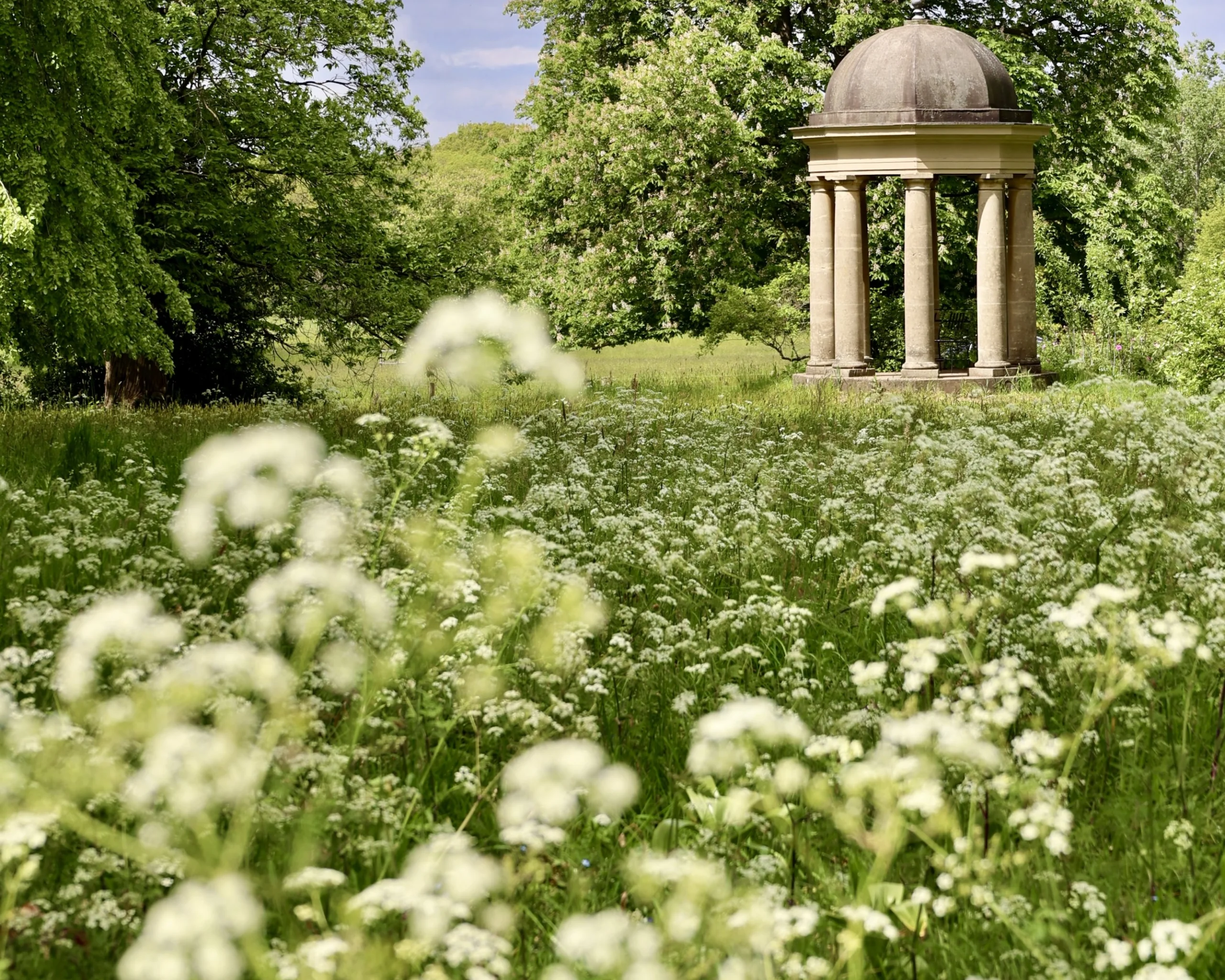 cow parsley in the foreground of the garden at doddington hall