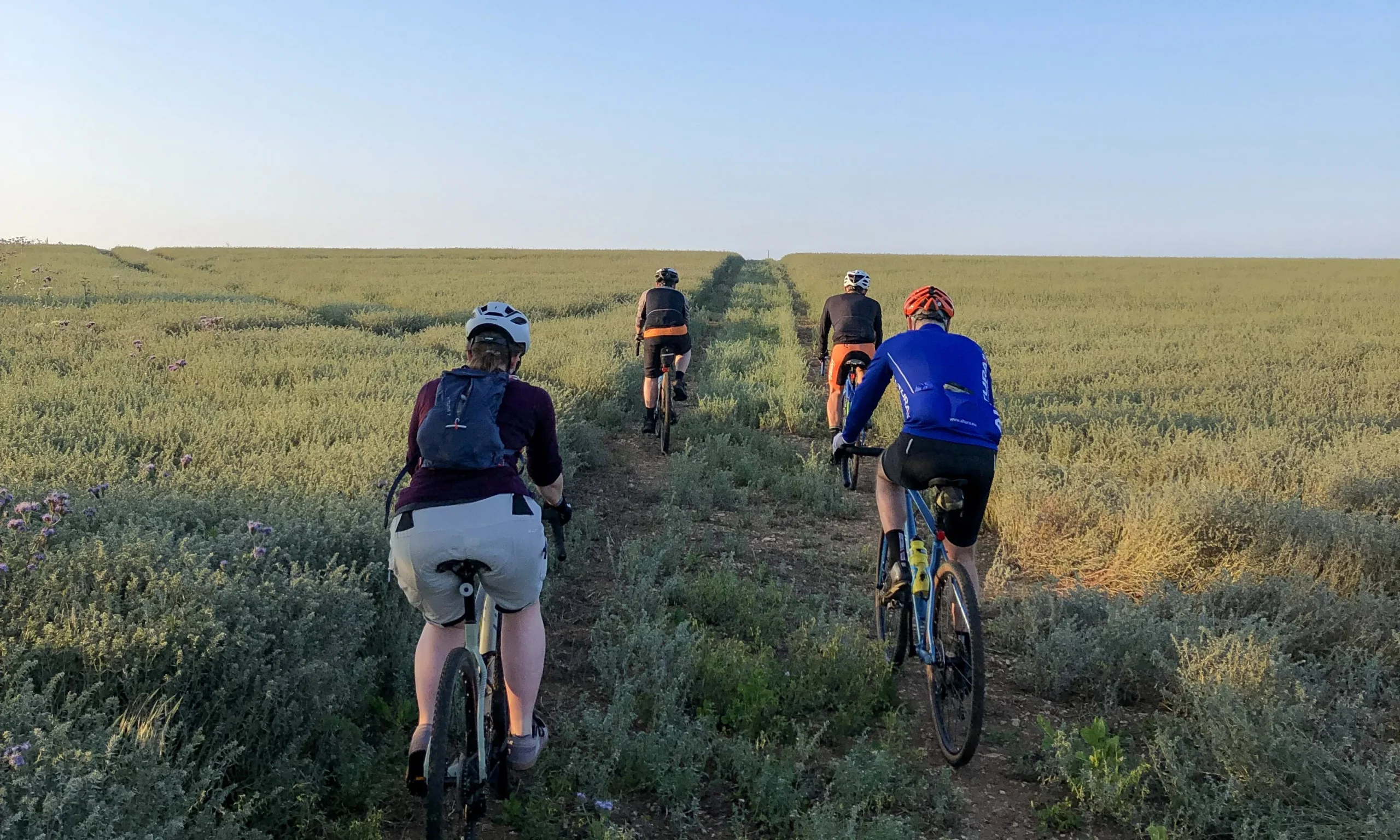 giant doddington cycle group ride in a field