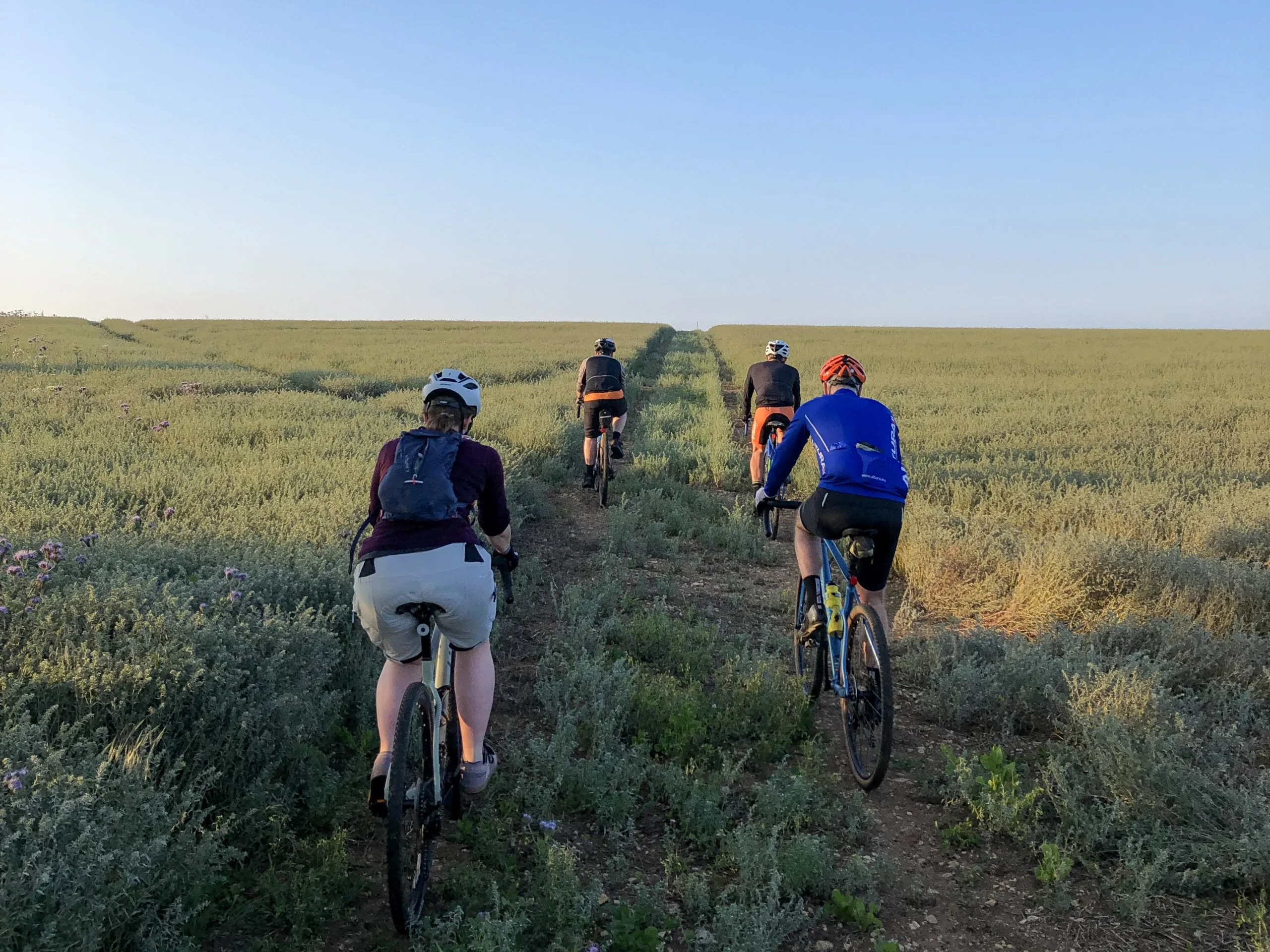 giant doddington cycle group ride in a field