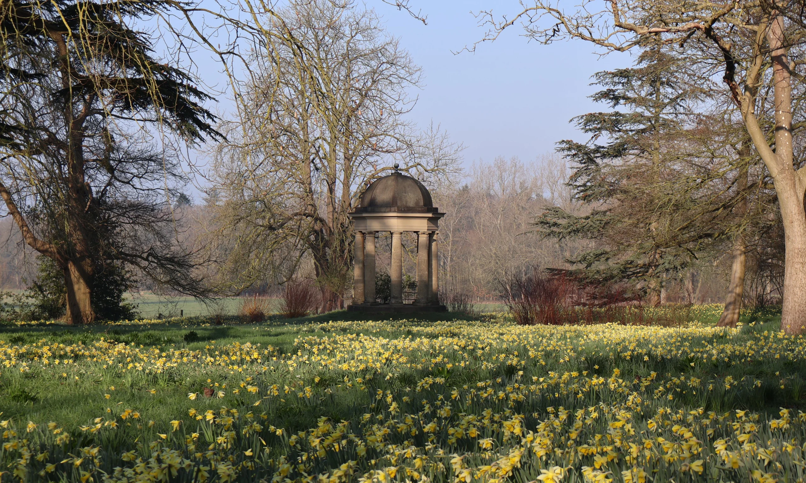 the temple of the winds in the background of a field of yellow daffodils