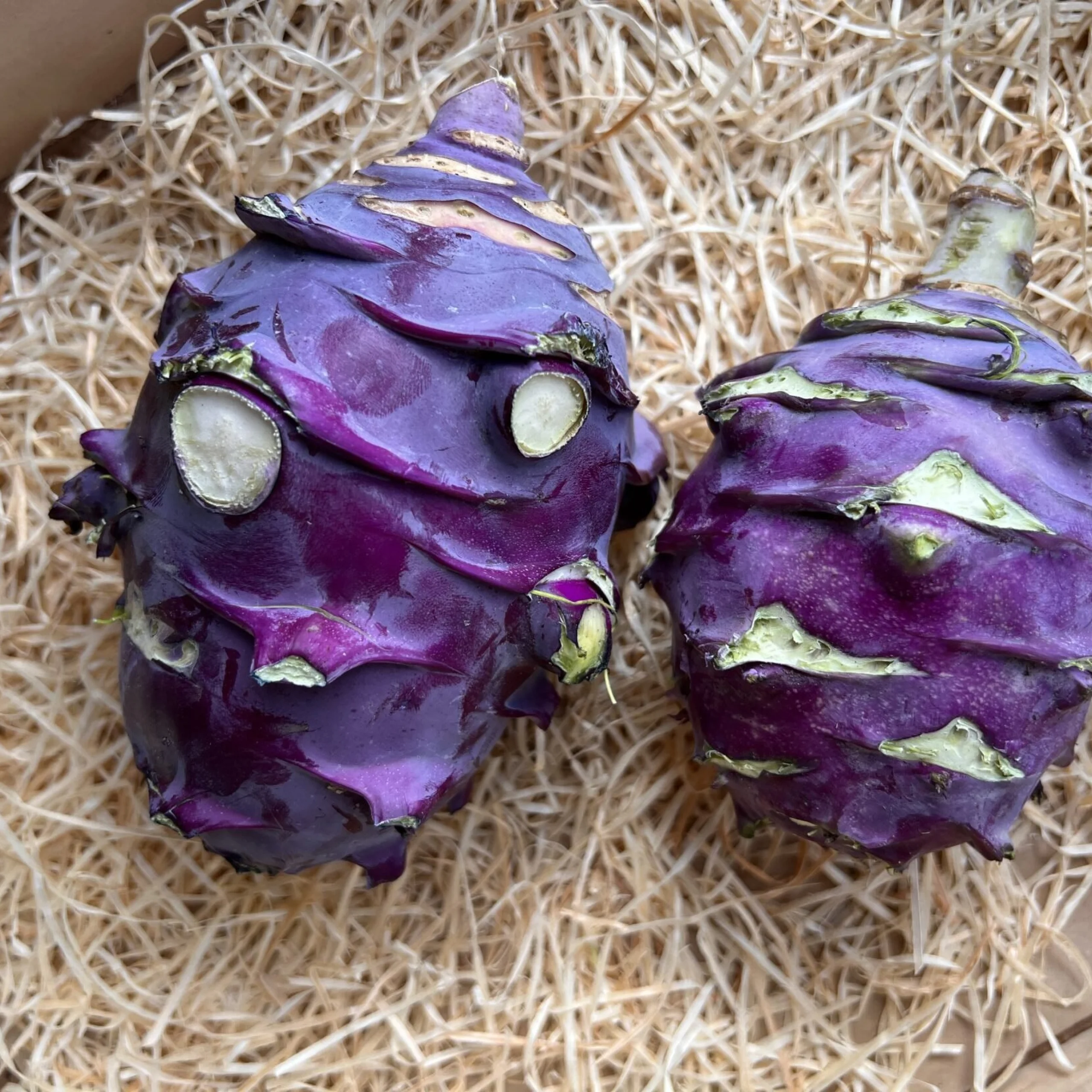 purple kohlrabi in a wooden box