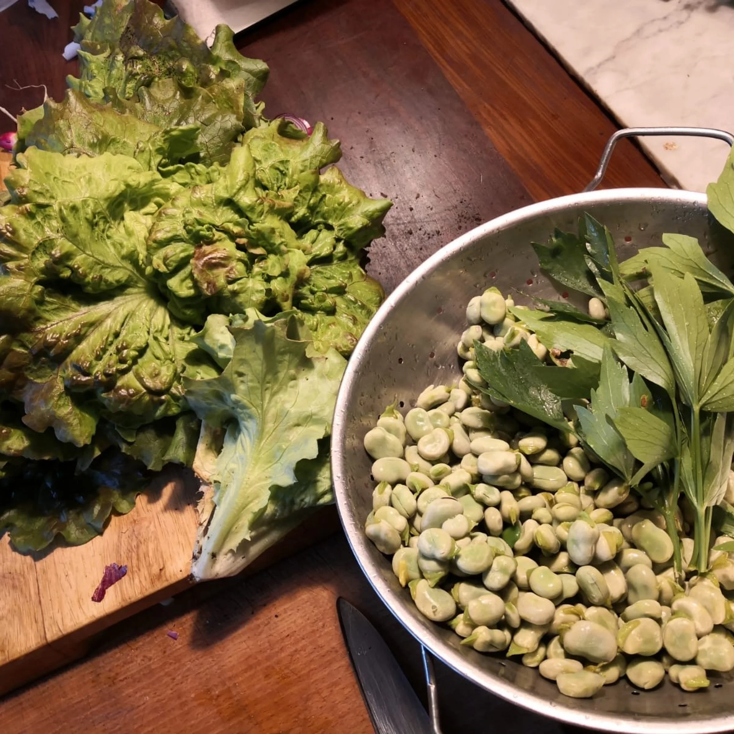 lettuce and edamame beans in a collander
