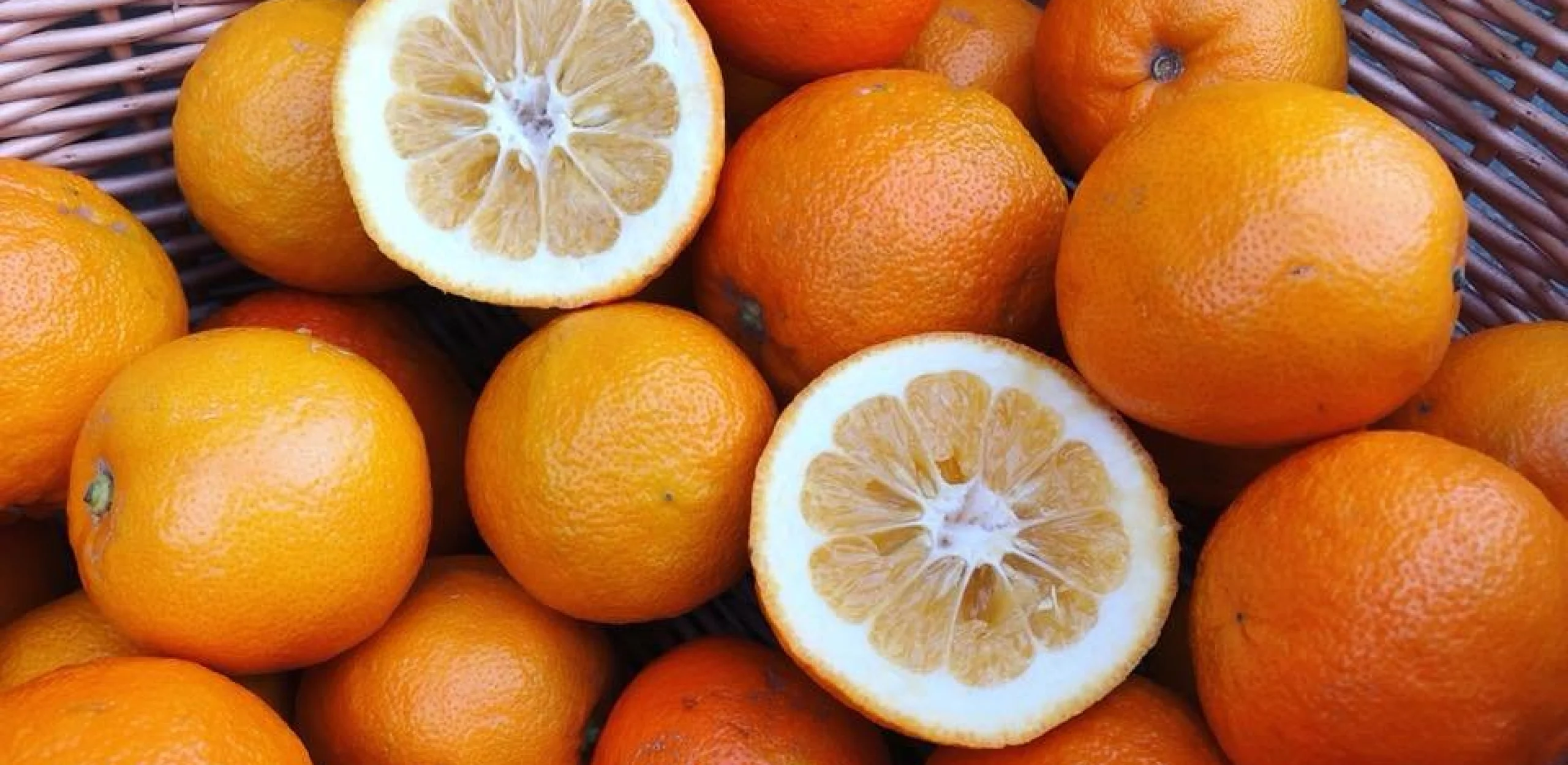 sliced seville oranges in a basket