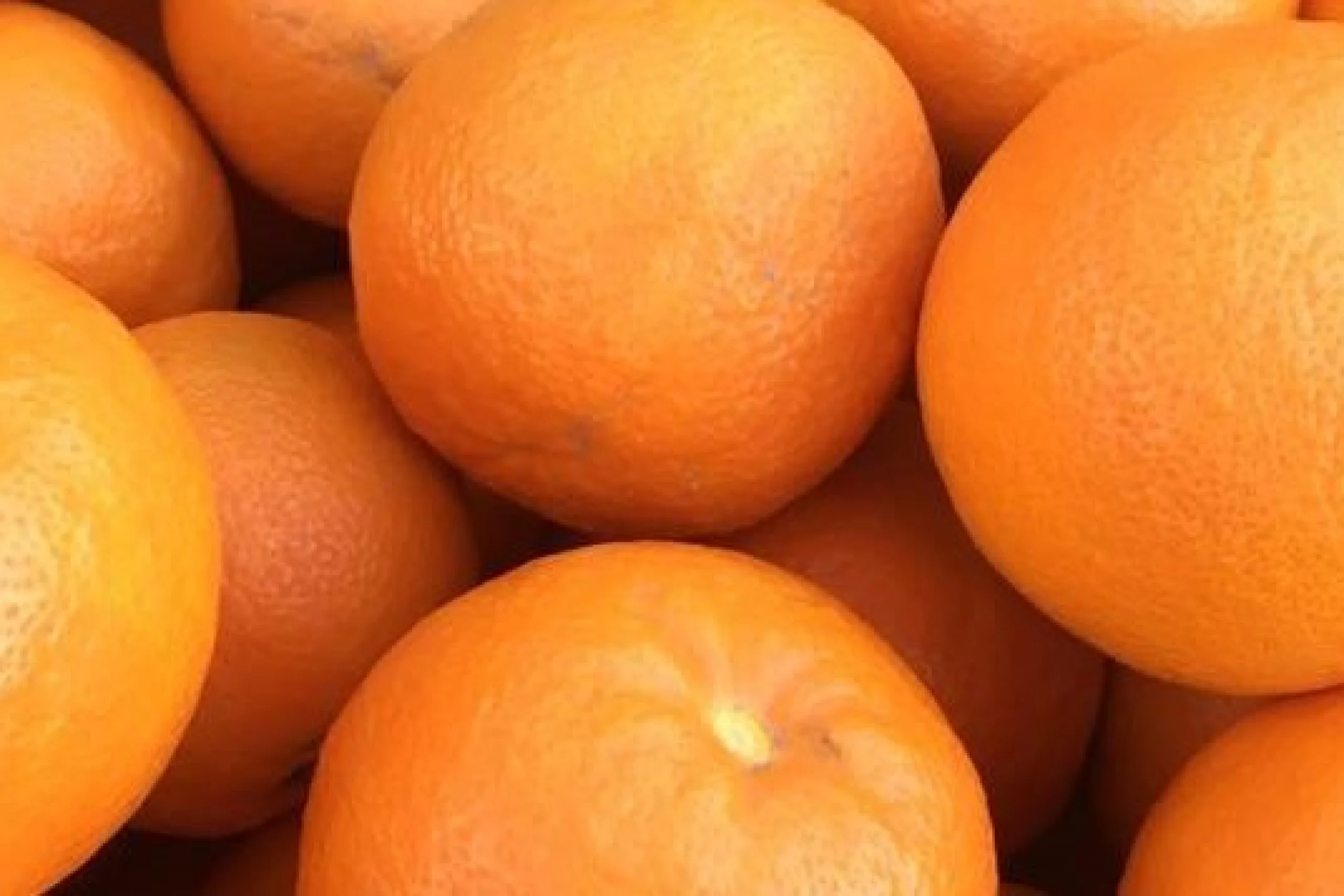 whole seville oranges