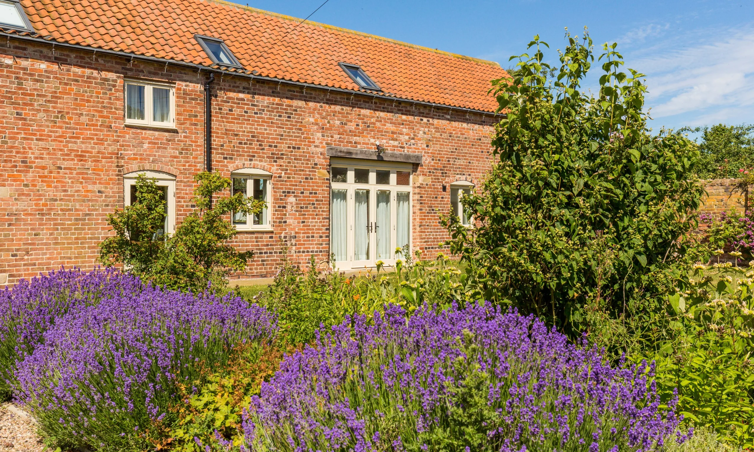 The exterior view of Shakespeare Cottage at Doddington Hall, with lavender at the forefront
