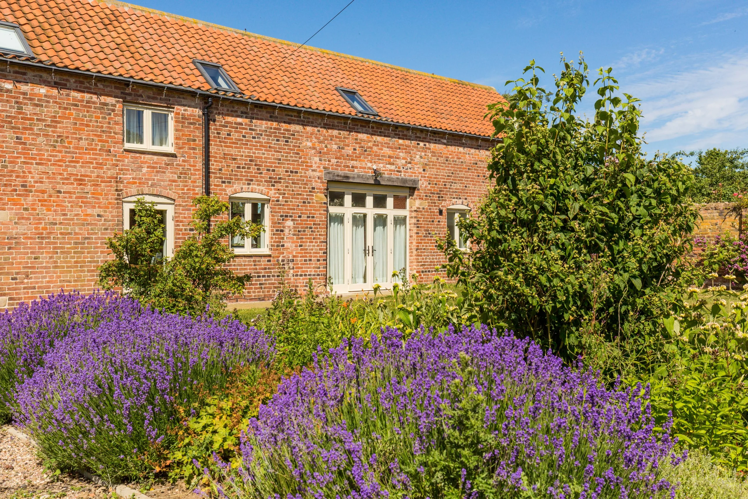 The exterior view of Shakespeare Cottage at Doddington Hall, with lavender at the forefront