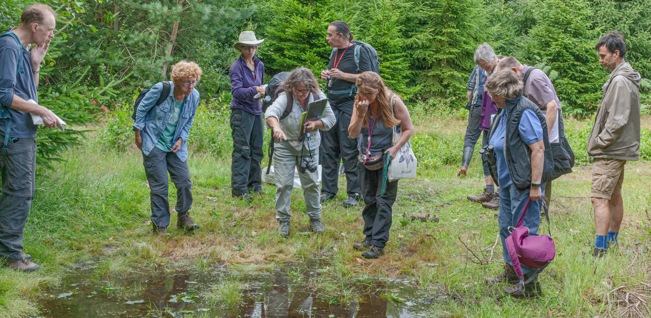 A group observe ponds in a countryside setting
