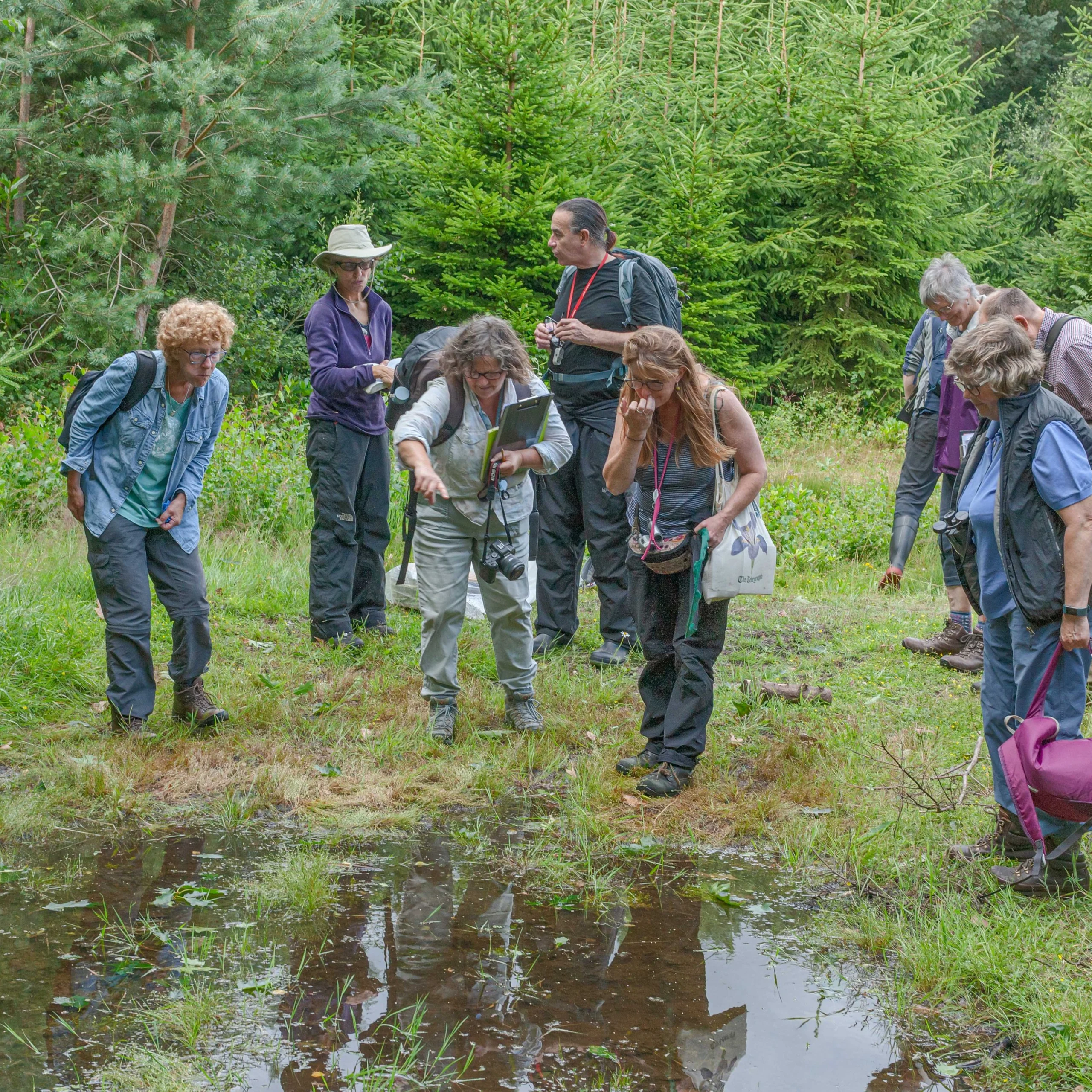 A group observe ponds in a countryside setting