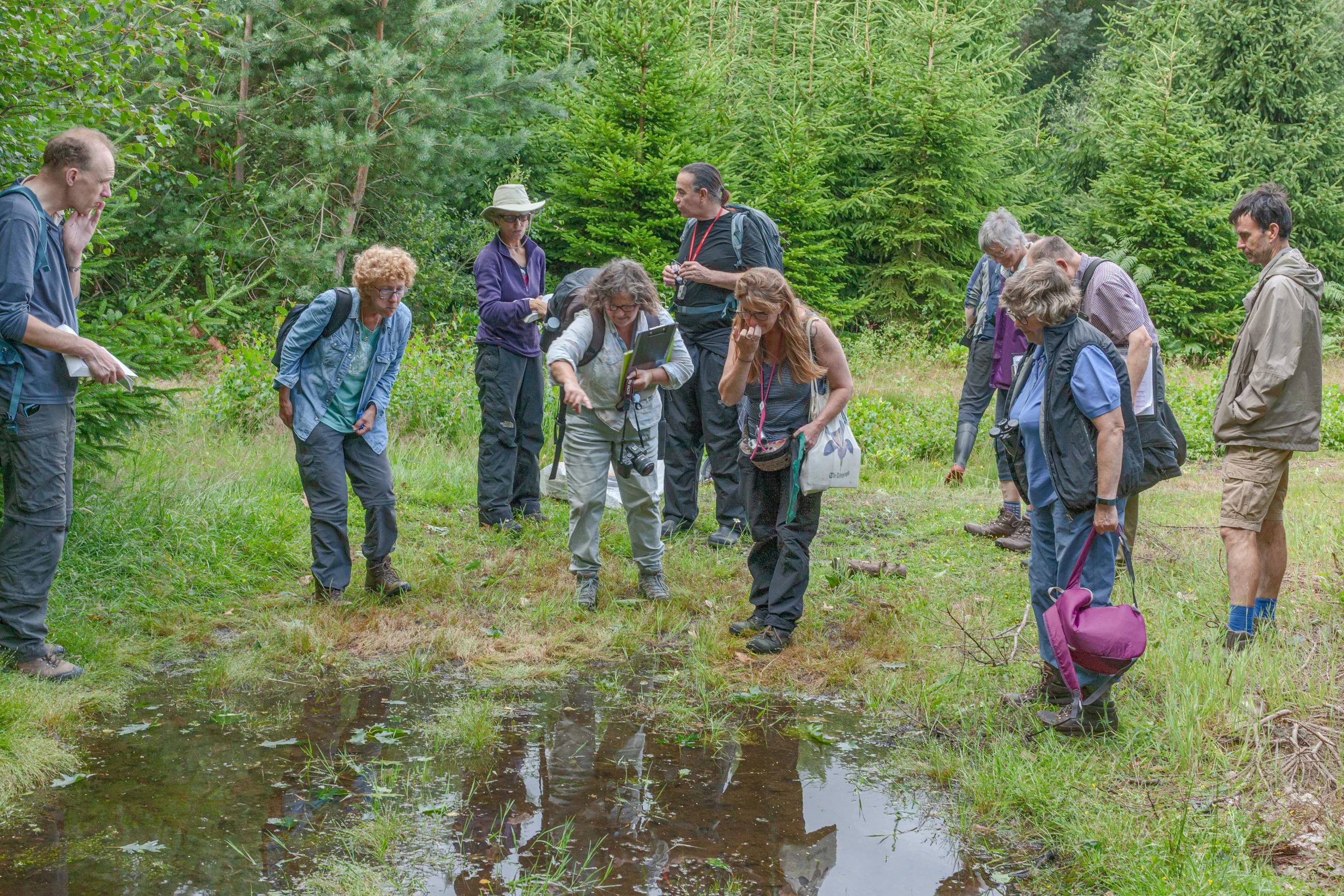 A group observe ponds in a countryside setting