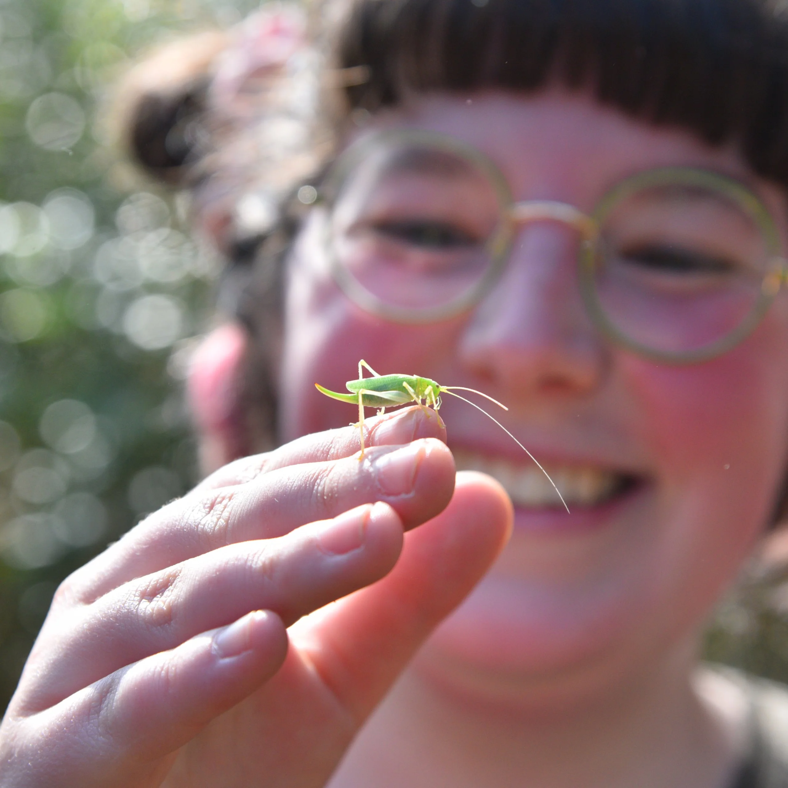 a green grasshopper perched on a childs finger