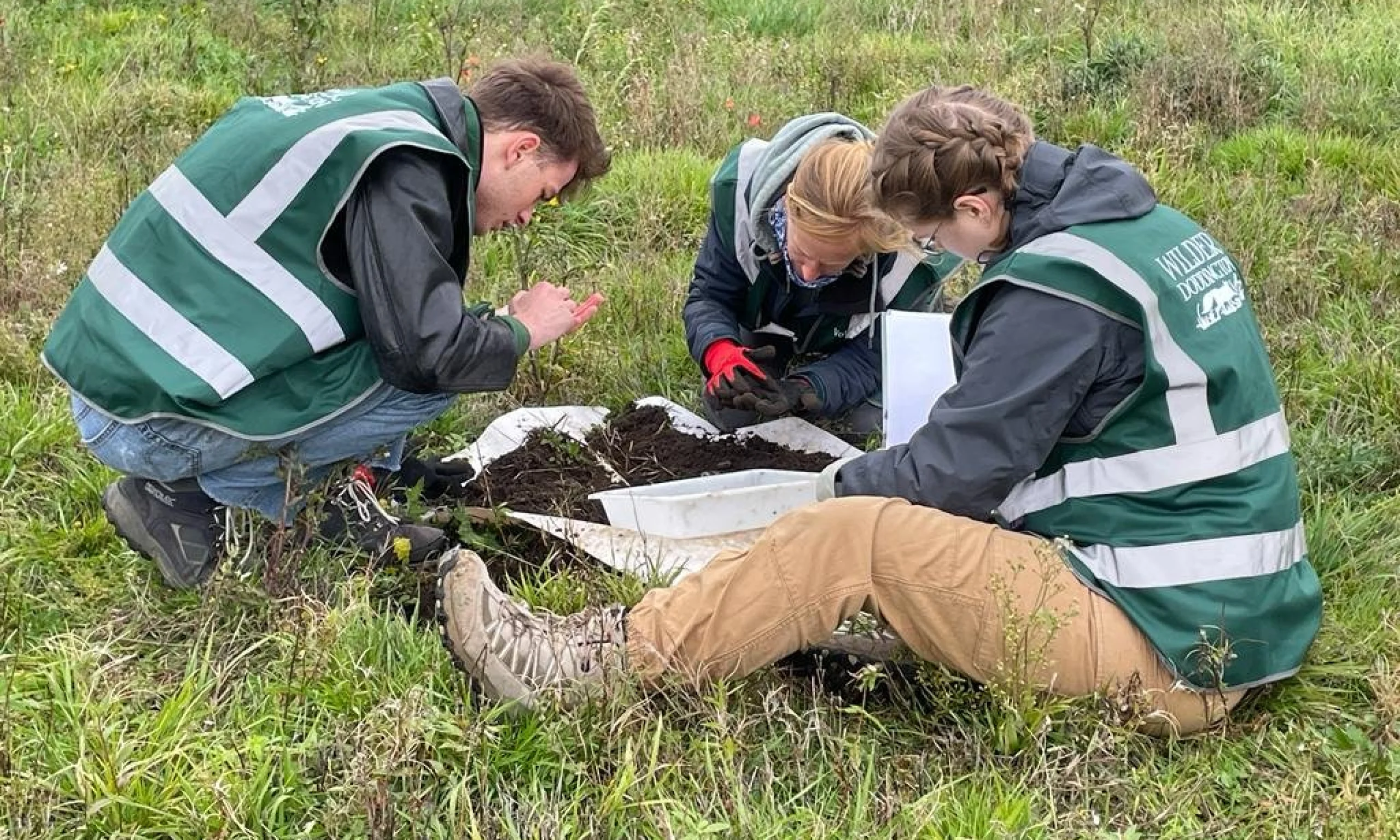 a group of students studying soil samples at wilder doddington