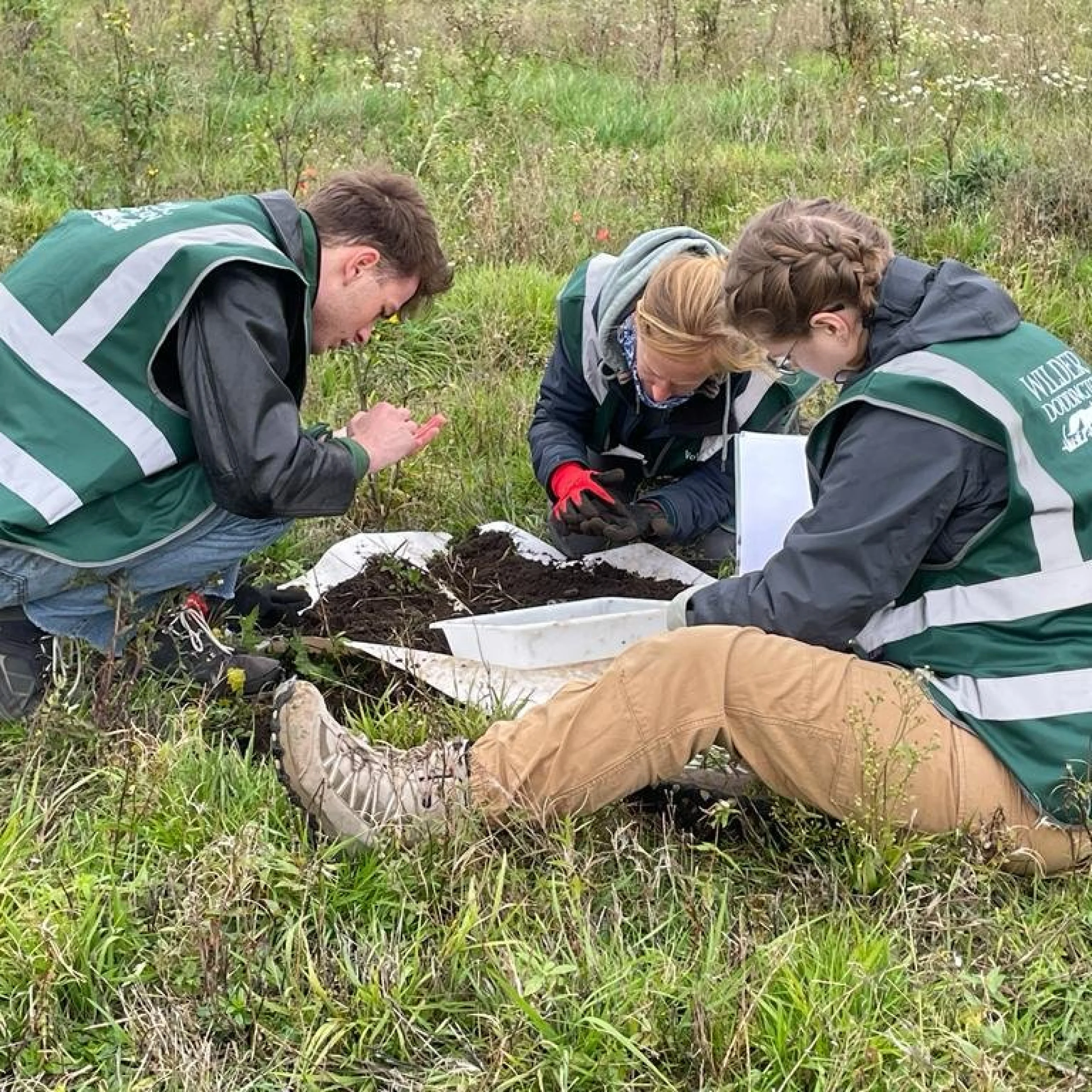 a group of students studying soil samples at wilder doddington