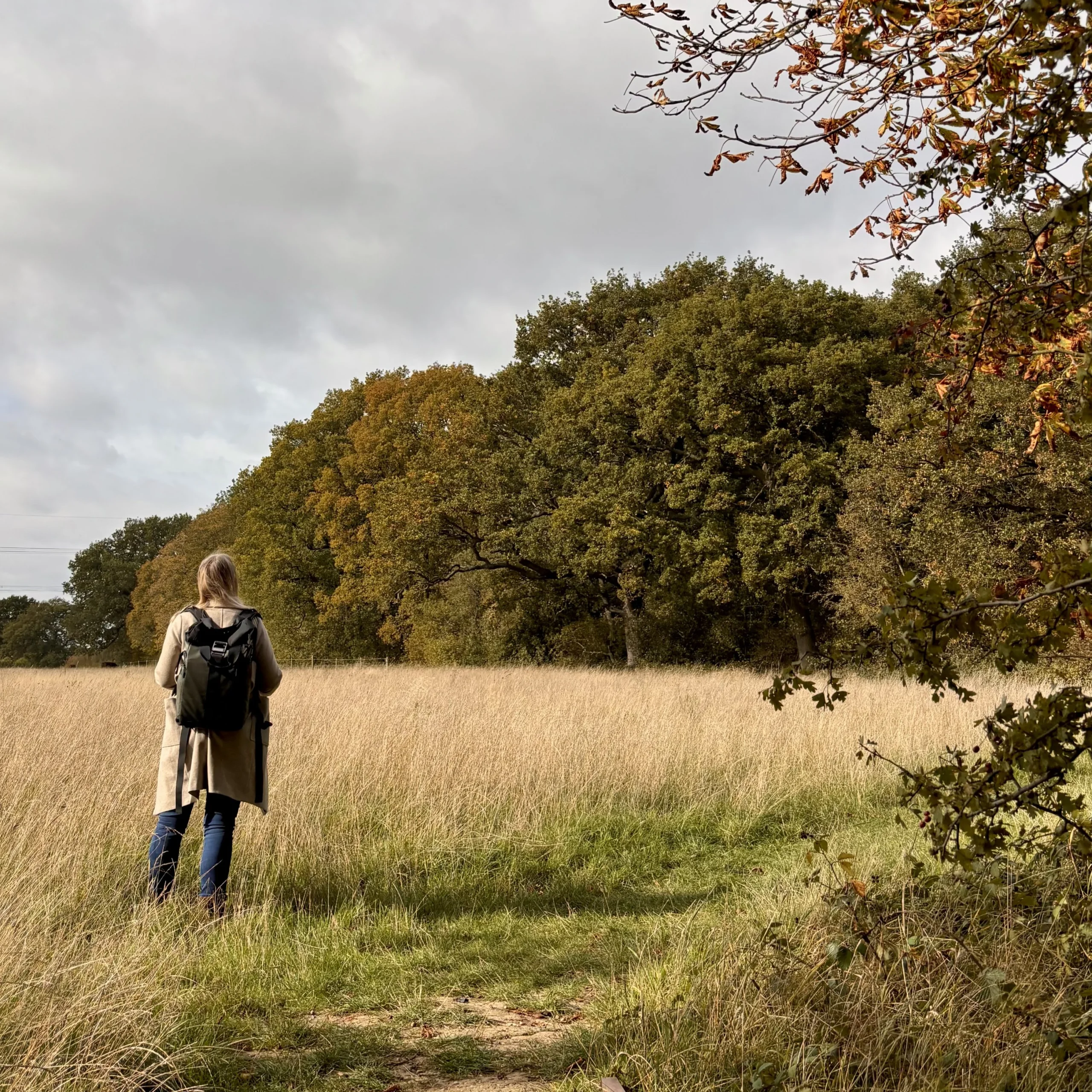 a lady enjoying the view from one of the walking trails at doddington hall