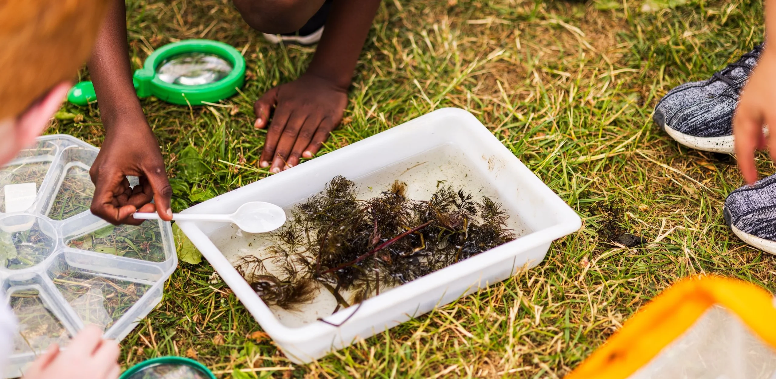 children exploring an underwater environment in a small tub on the grass at wilder doddington