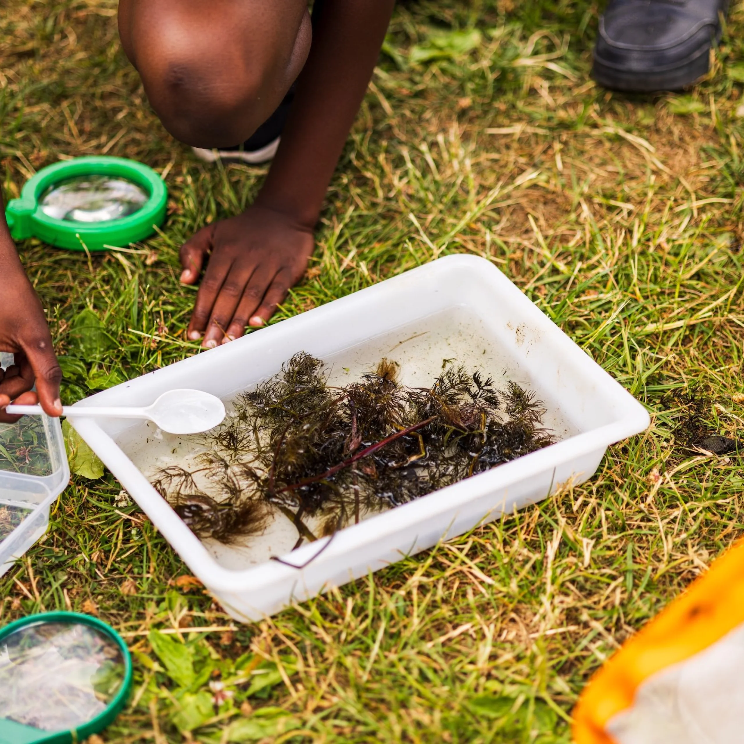 children exploring an underwater environment in a small tub on the grass at wilder doddington