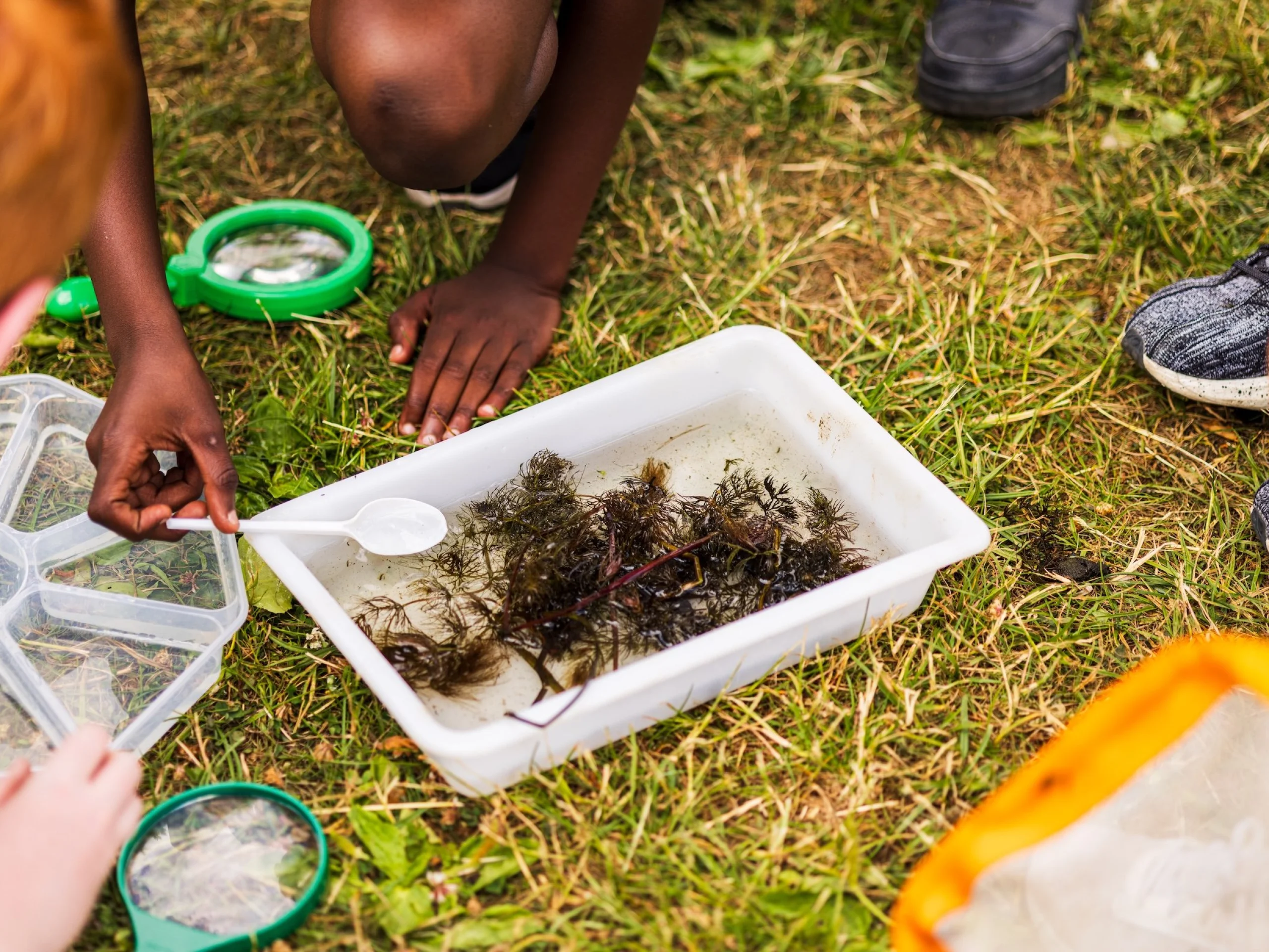 children exploring an underwater environment in a small tub on the grass at wilder doddington