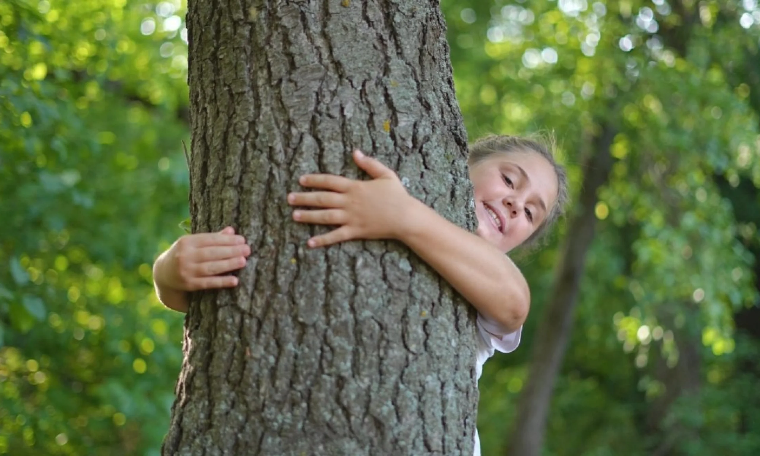 a child with their arms wrapped around a tree trunk smiling at the camera
