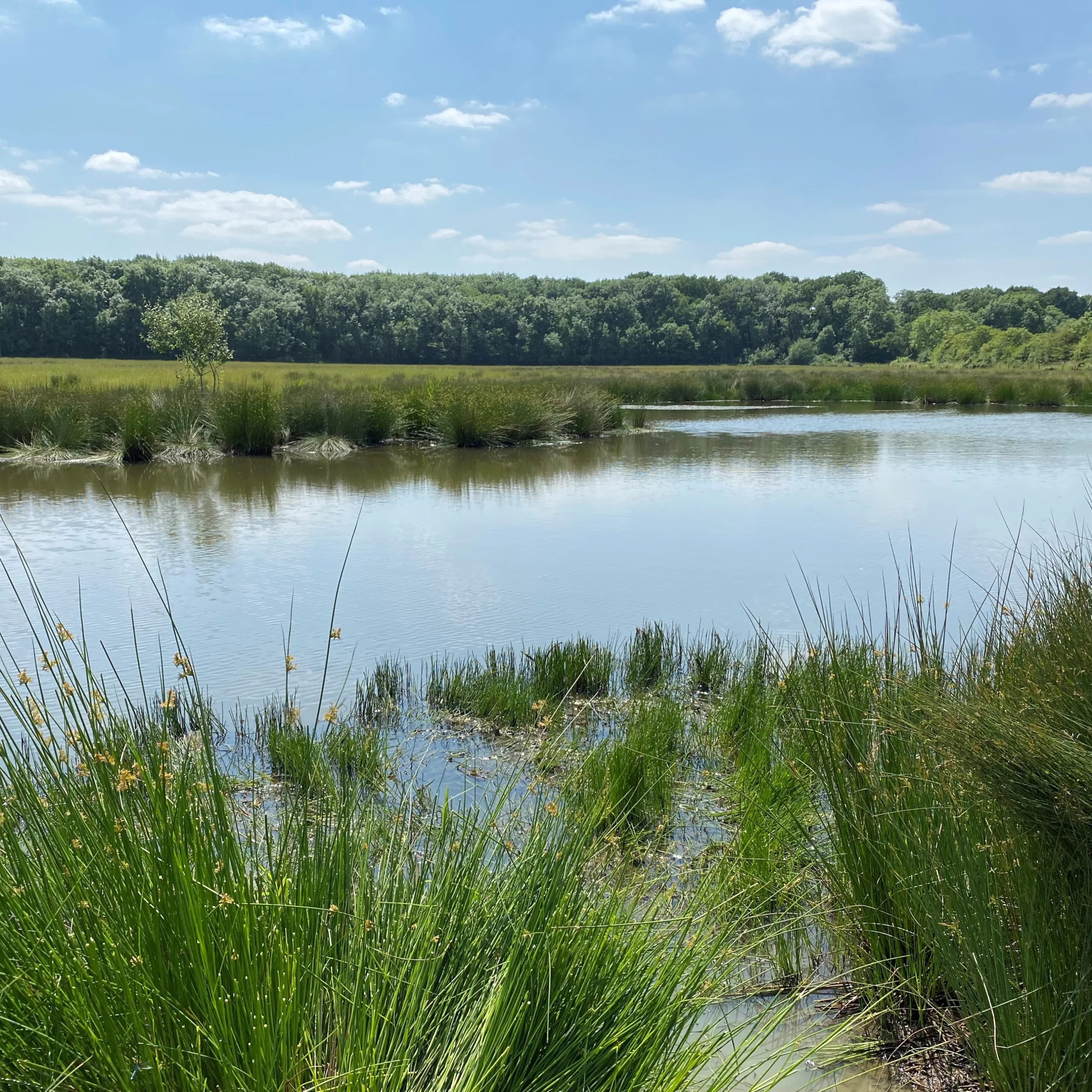 wilder doddington large pond expanse