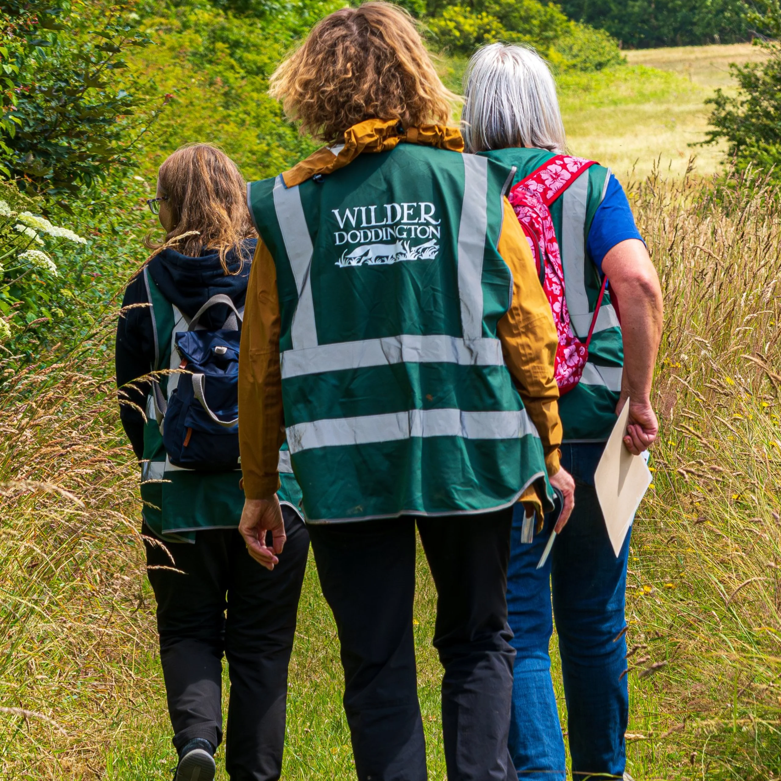 a wilder doddington volunteer wearing a green vest walking through grass meadows