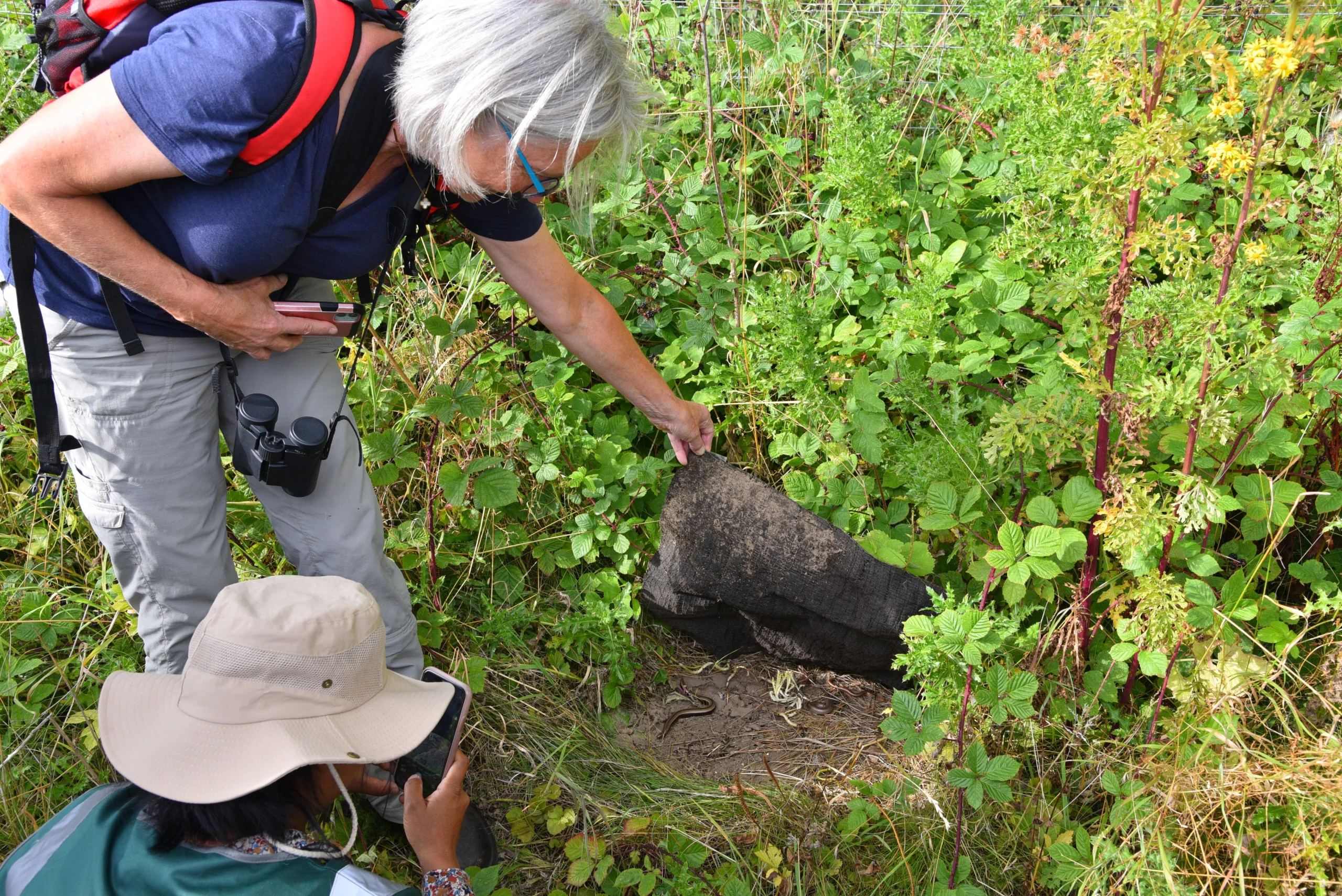 people uncovering wildlife on a wilder doddington experience walk