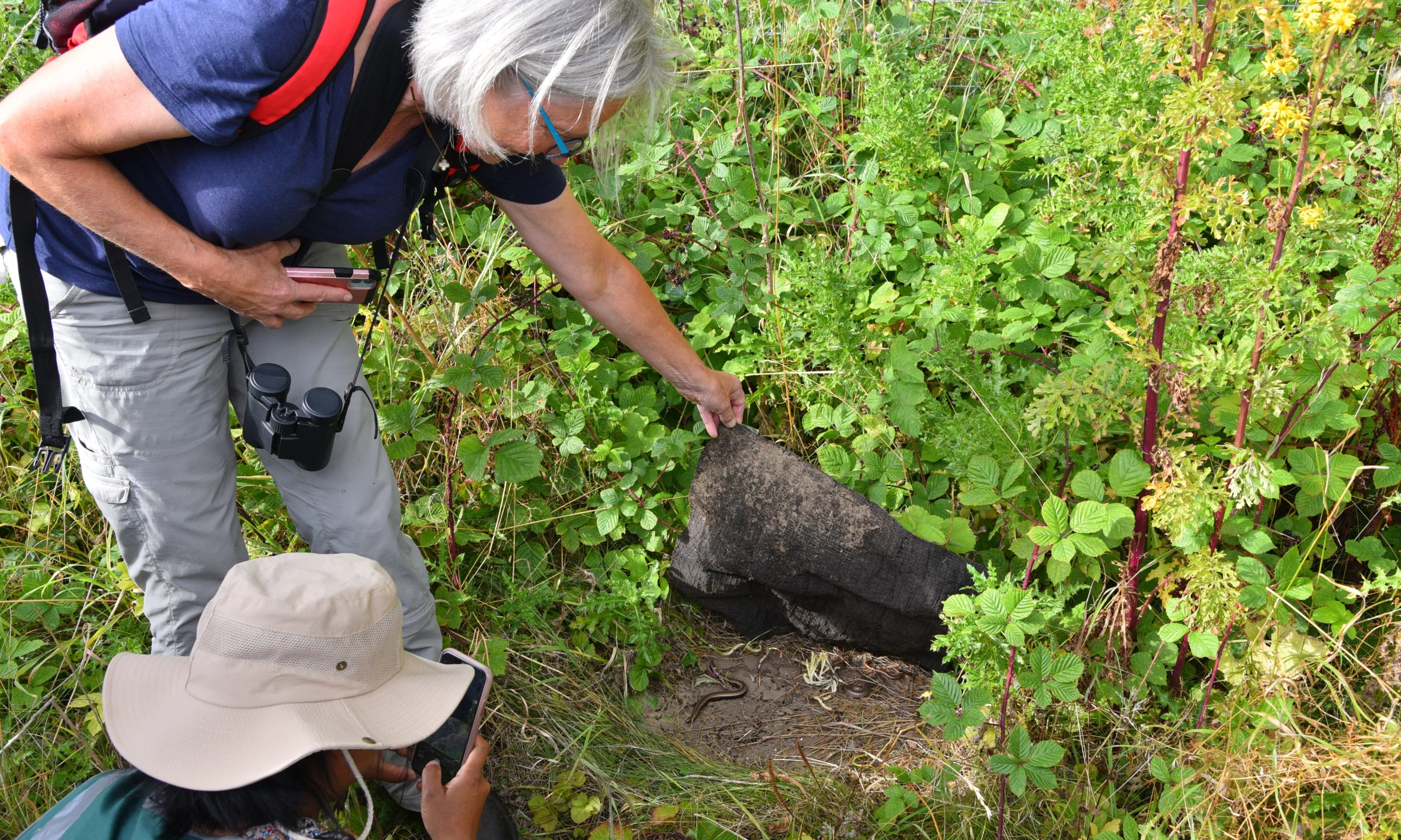 people uncovering wildlife on a wilder doddington experience walk