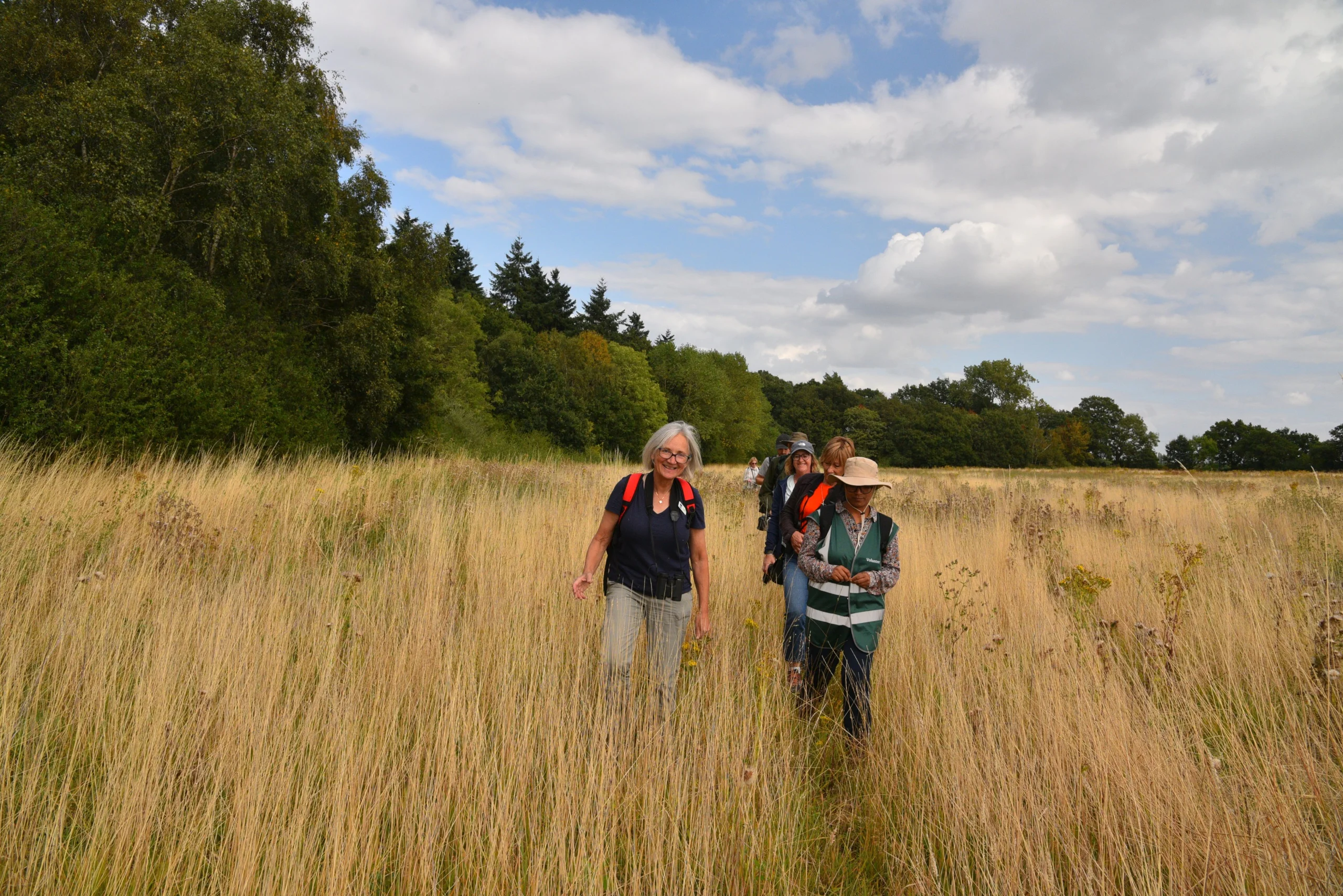 people walking through a grass meadow with a walking guide at wilder doddington