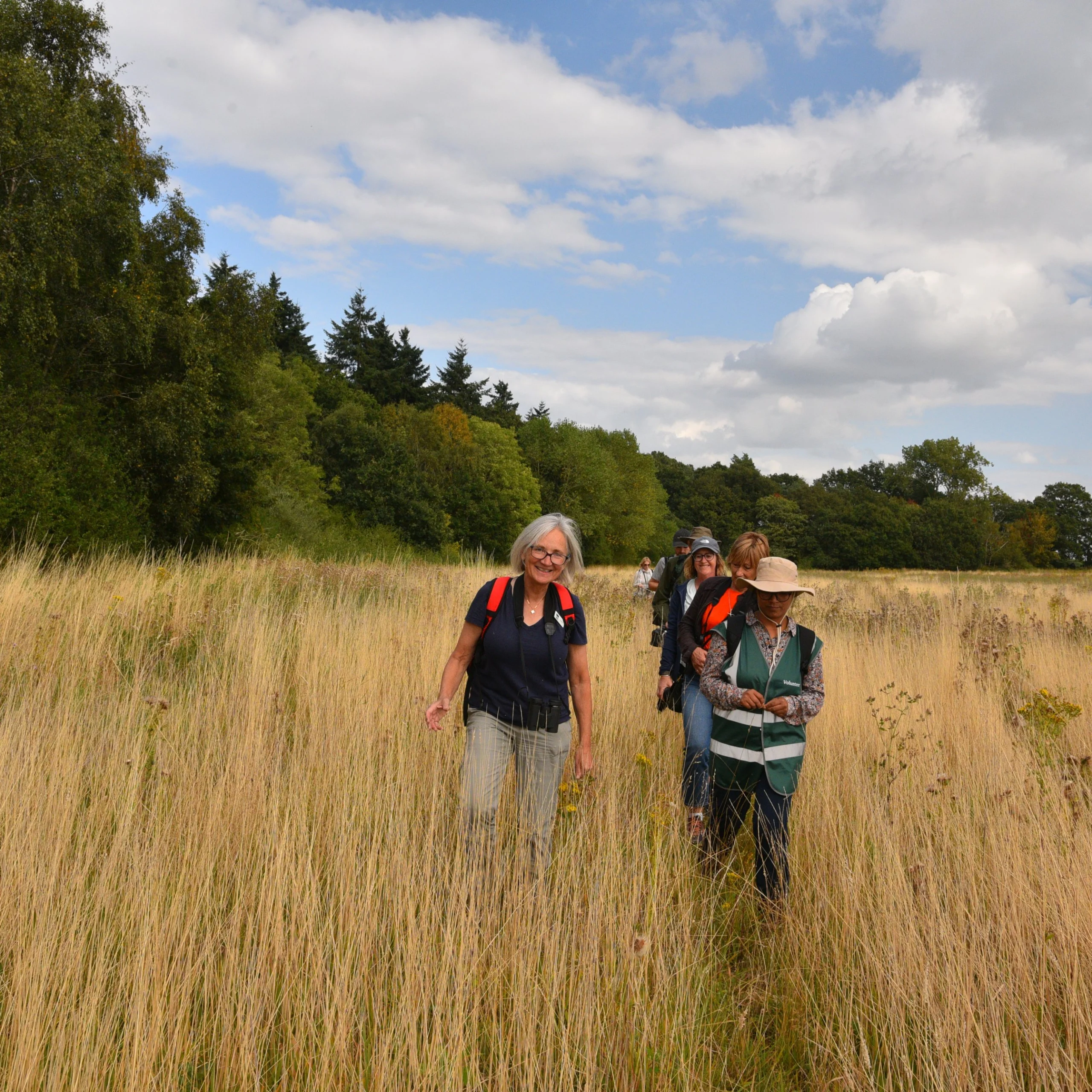 people walking through a grass meadow with a walking guide at wilder doddington