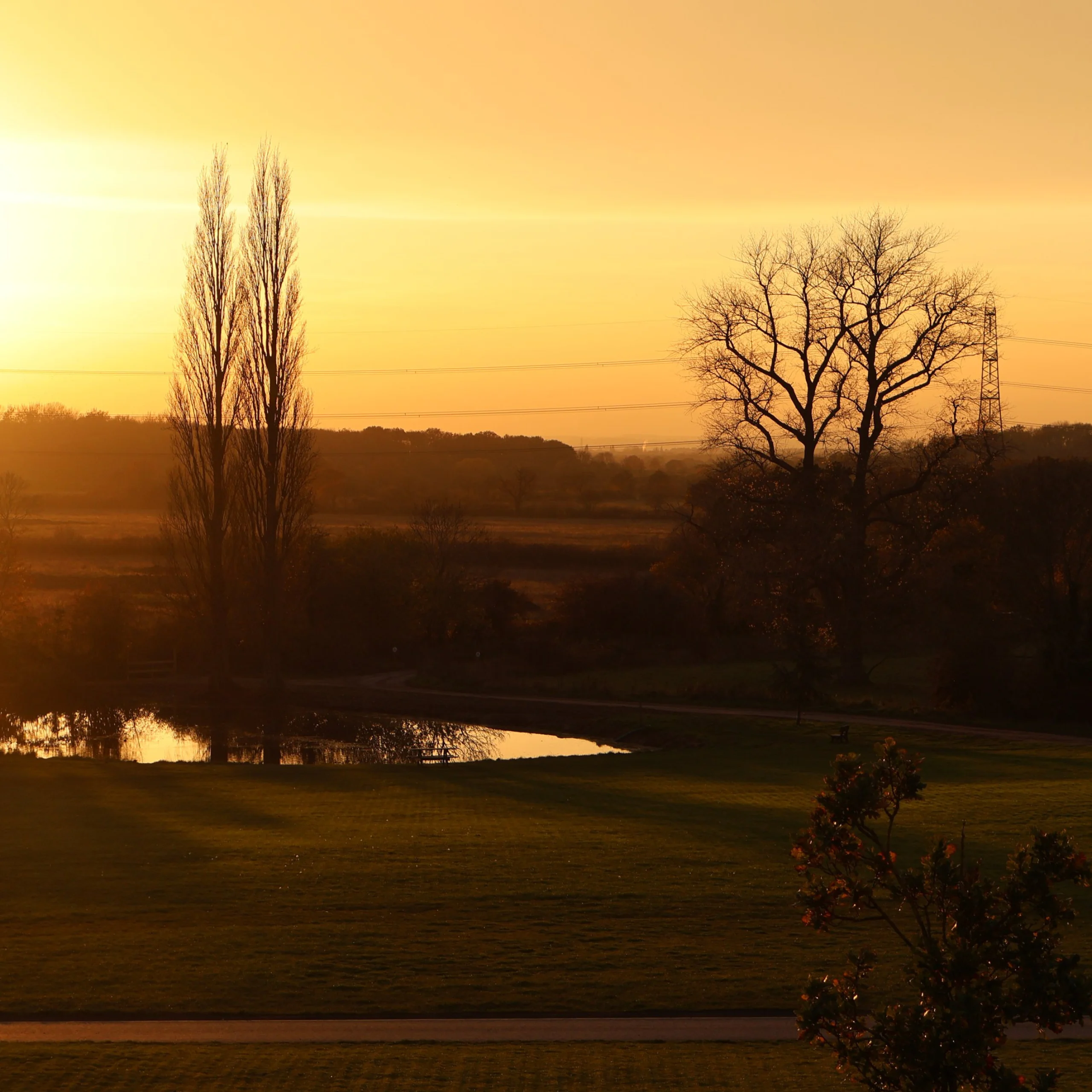 a view from the balcony at the grain store at doddington hall looking at the pond and trees
