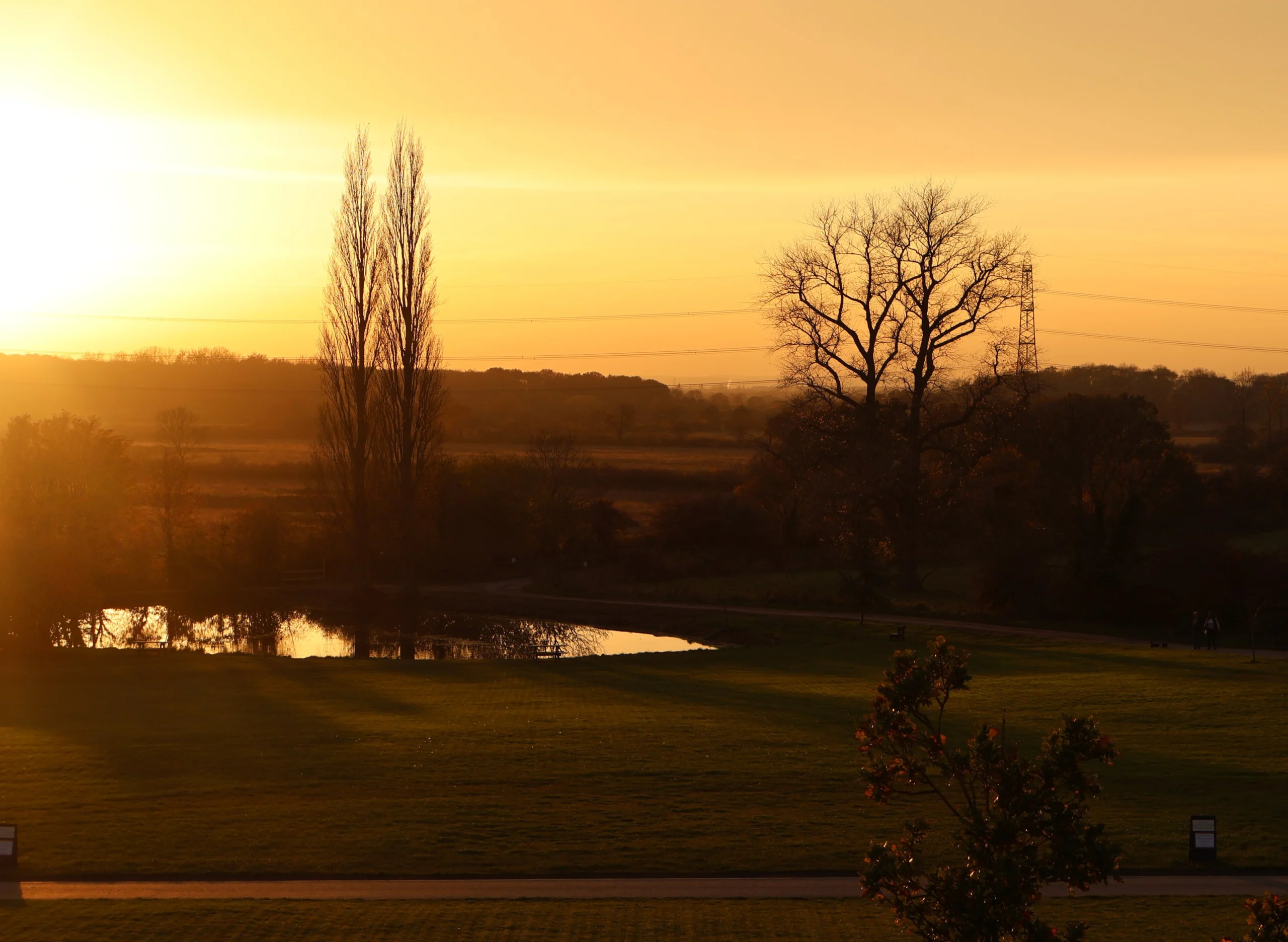 a view from the balcony at the grain store at doddington hall looking at the pond and trees