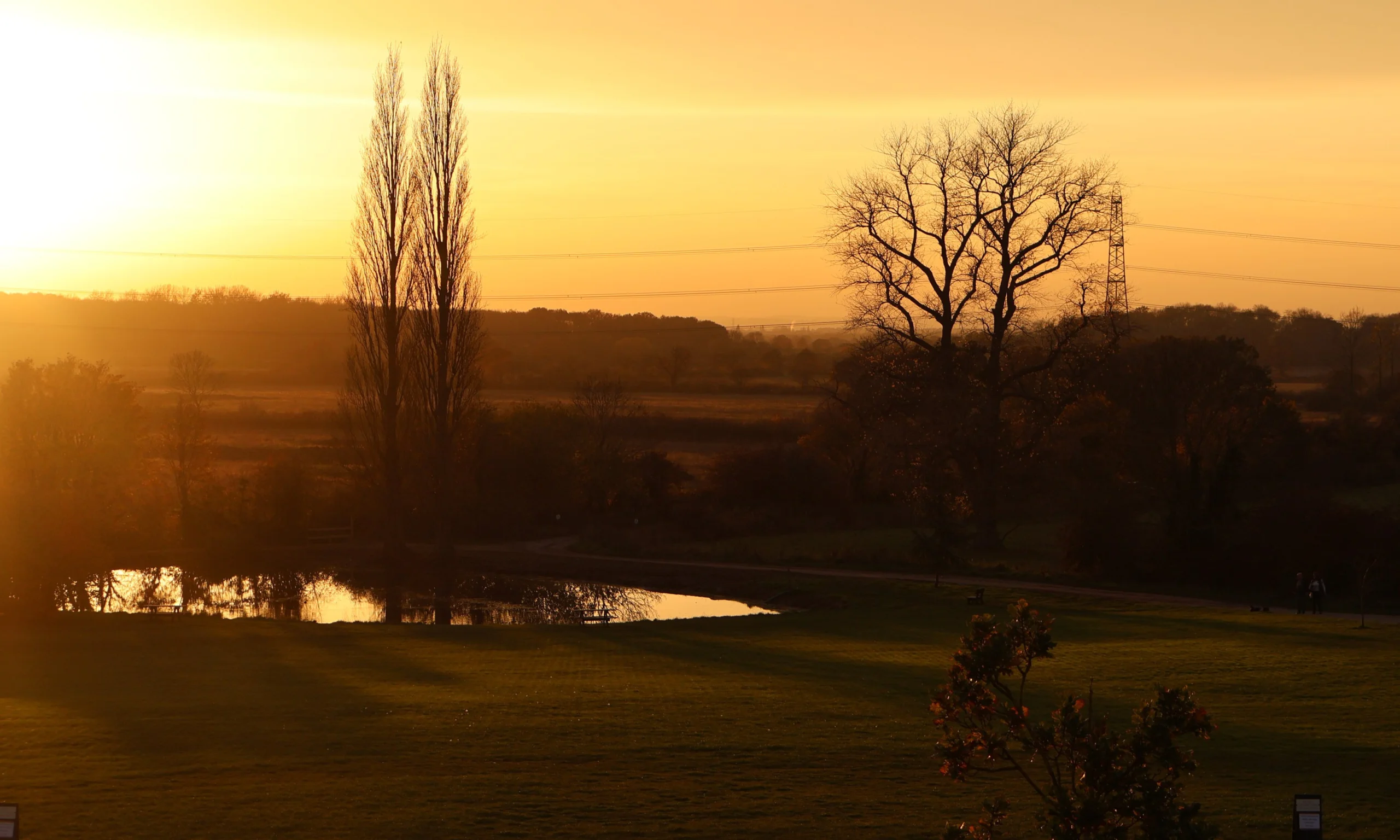 a view from the balcony at the grain store at doddington hall looking at the pond and trees