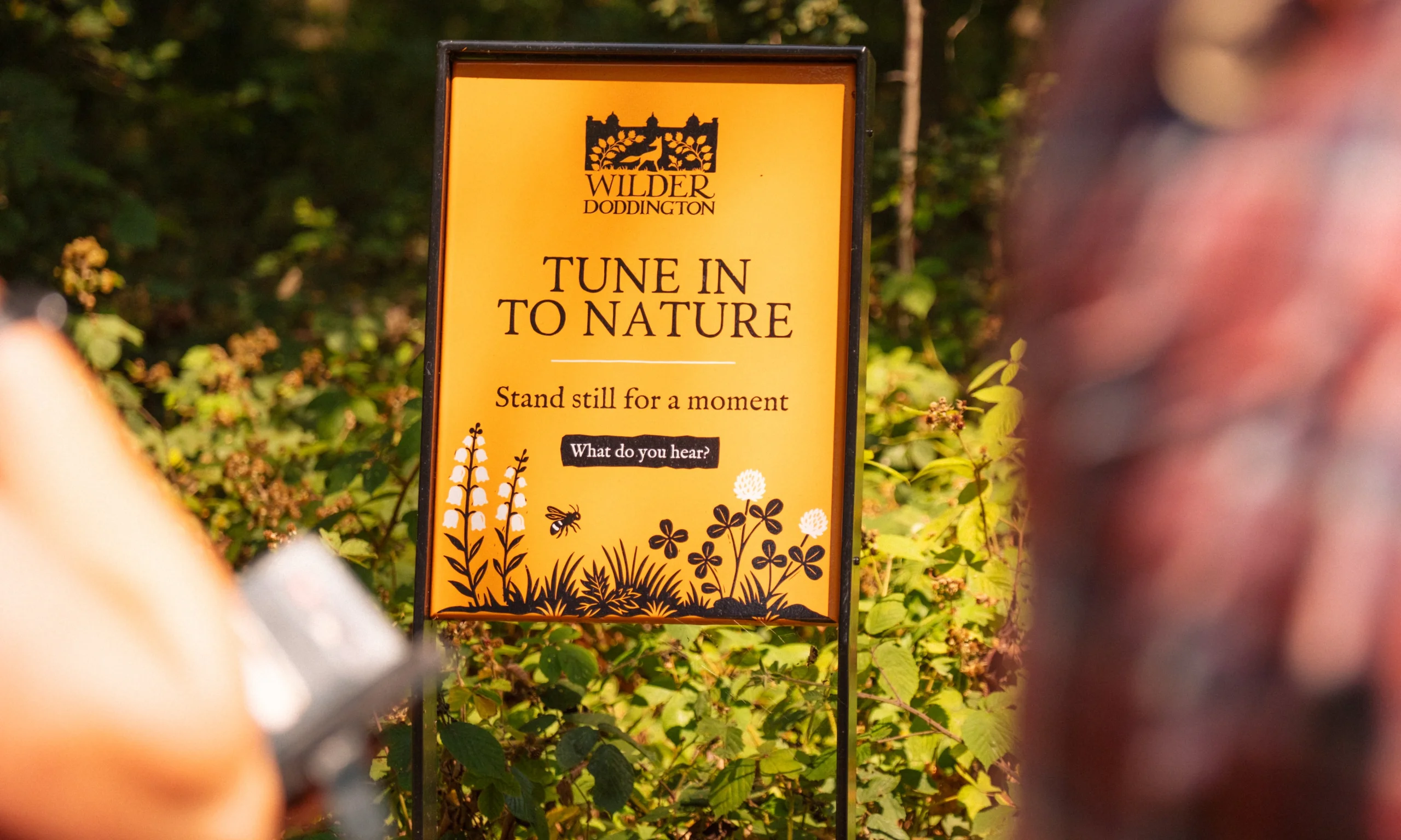 metal framed sign at Doddington hall in the woodland