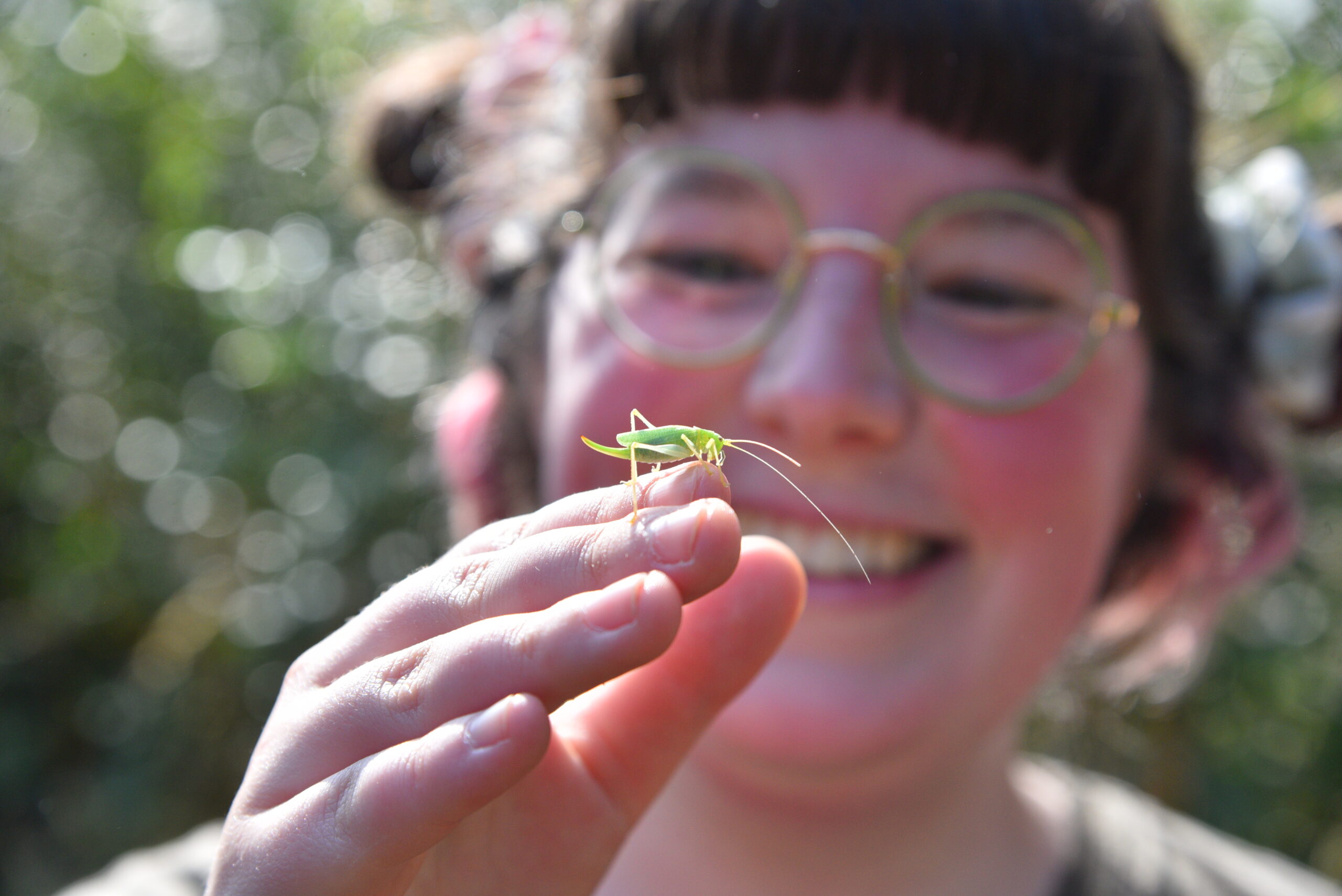 The image shows a girl with dark hair in bun pigtails and wearing glasses holding up a green grasshopper on her hand in front of the camera.